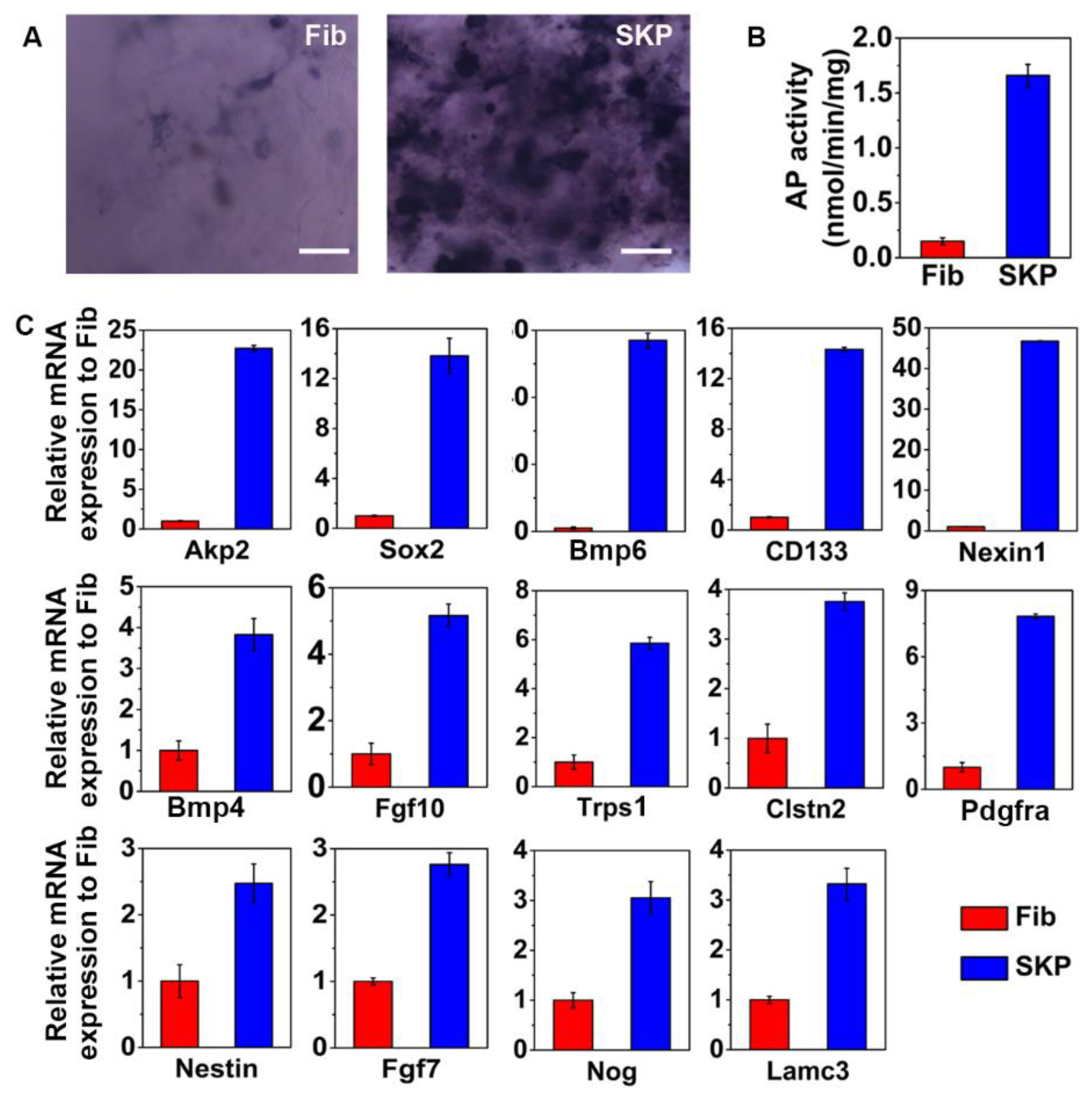 Biomedicines 09 00400 g005 Biomedicines 09 00400 g005
