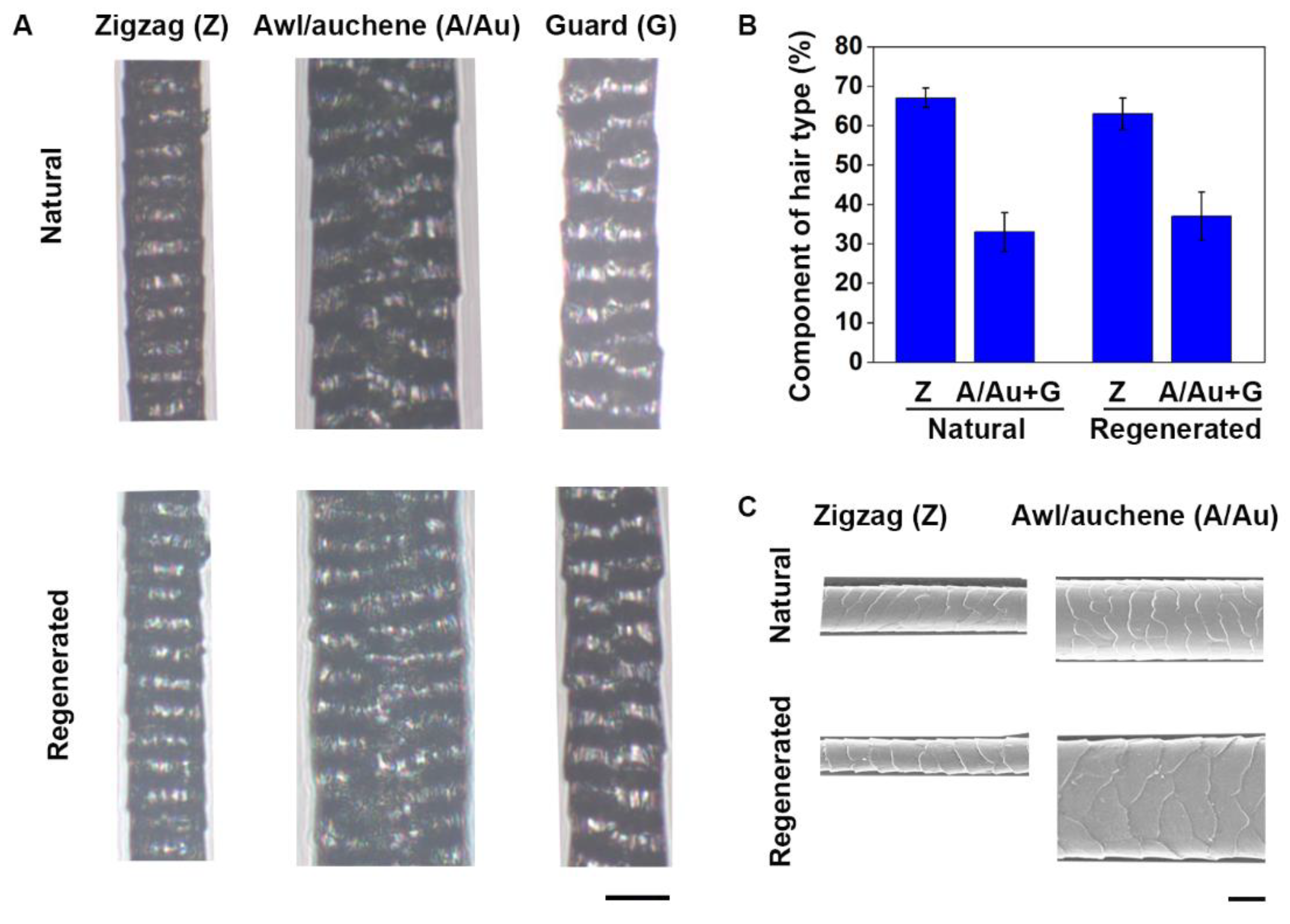 Biomedicines 09 00400 g007 Biomedicines 09 00400 g007