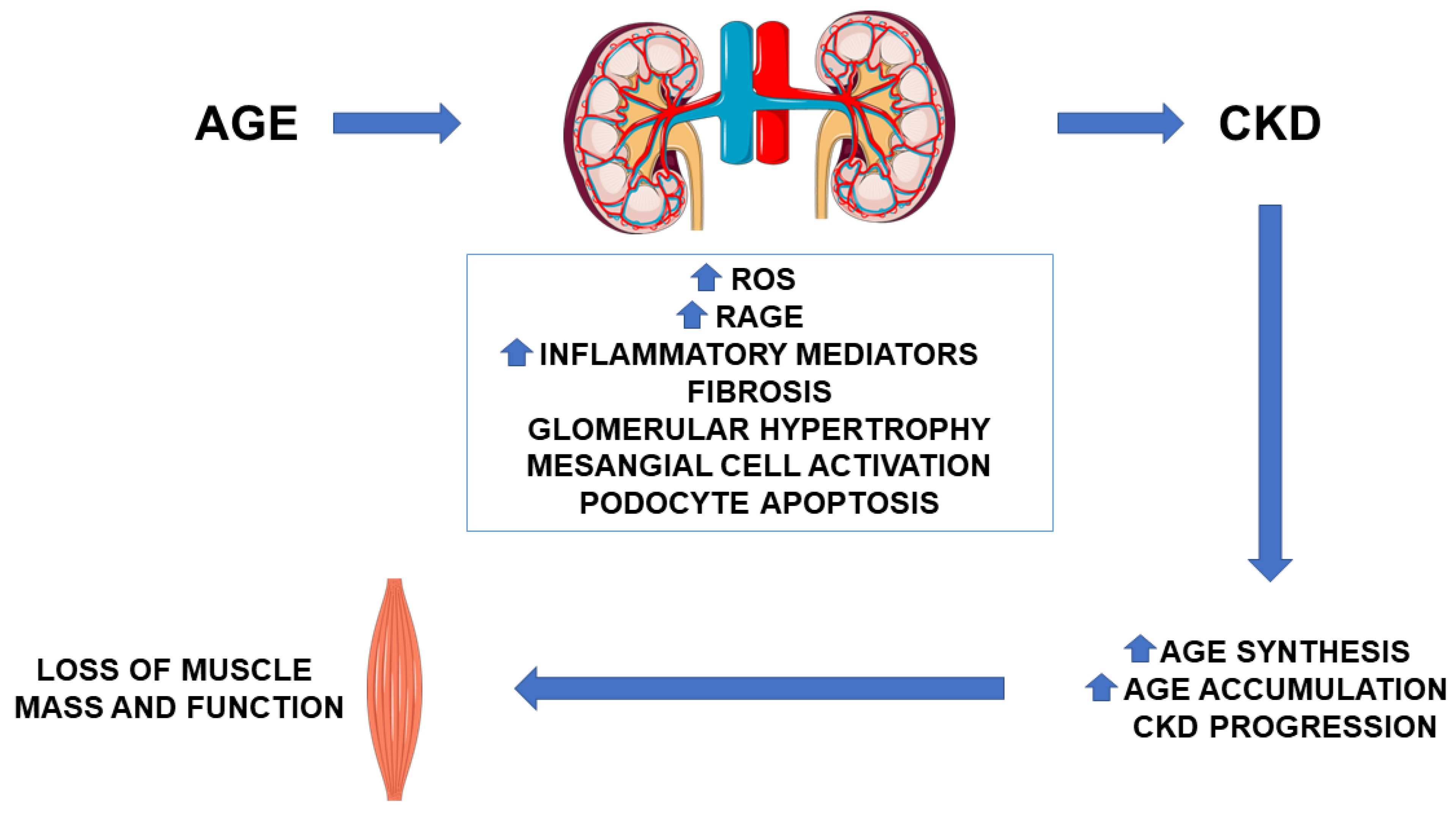 Biomedicines 09 00405 g002 Biomedicines 09 00405 g002