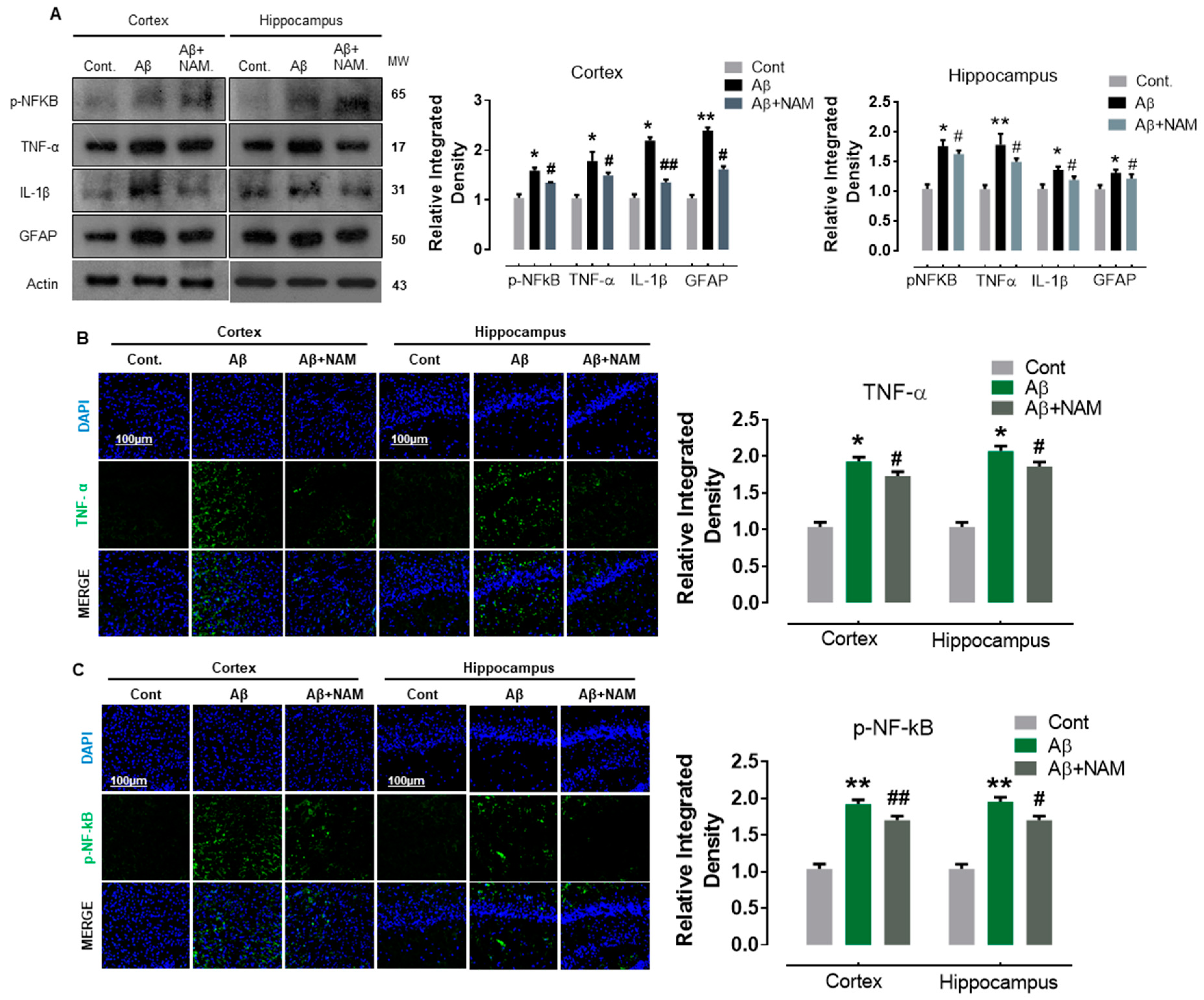 Biomedicines 09 00408 g003 Biomedicines 09 00408 g003