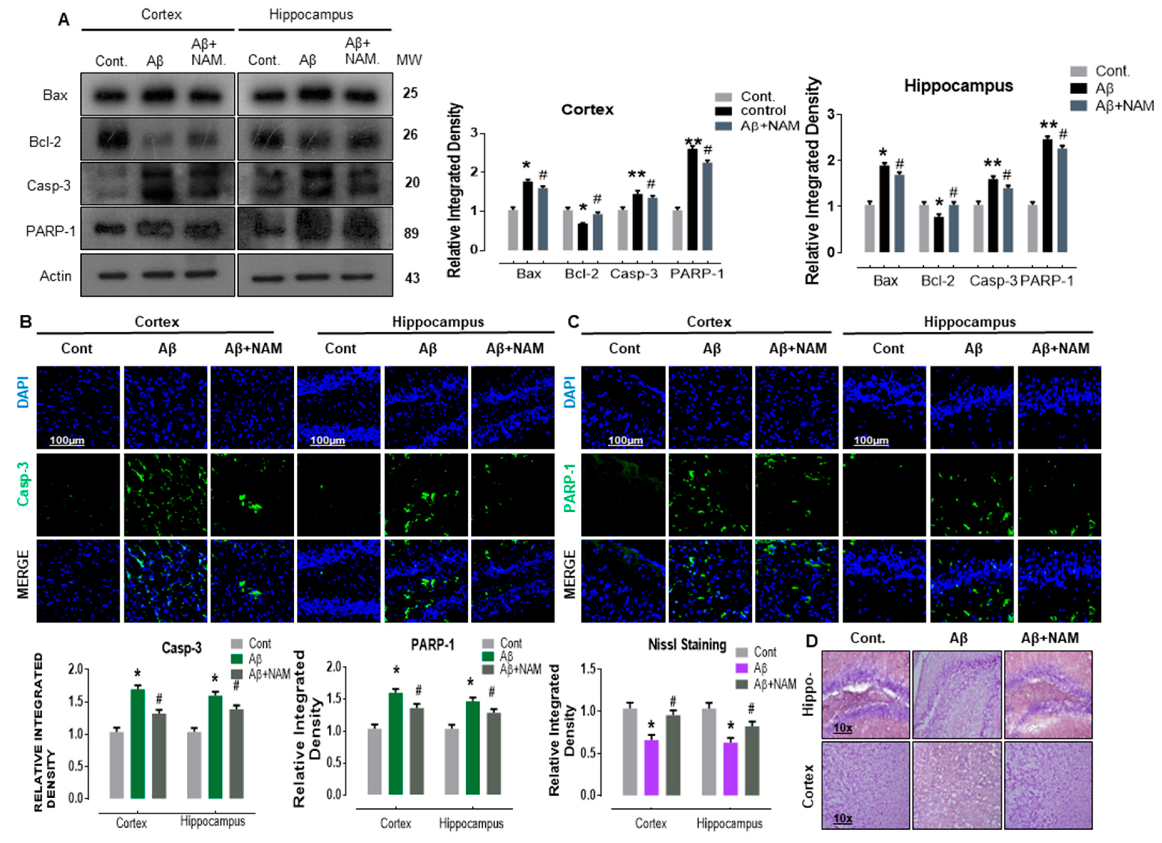 Biomedicines 09 00408 g004 Biomedicines 09 00408 g004