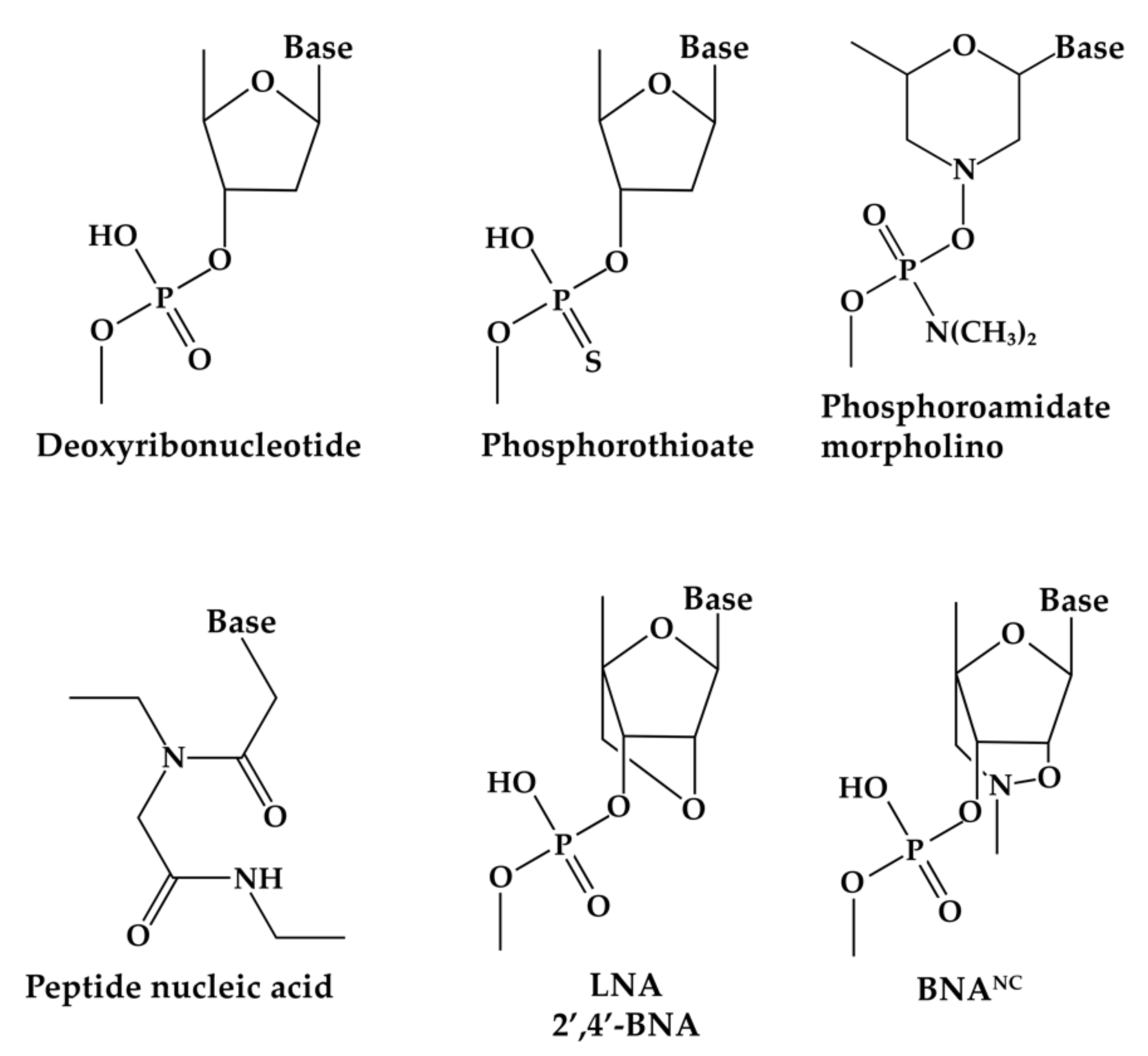 Biomedicines 09 00416 g002