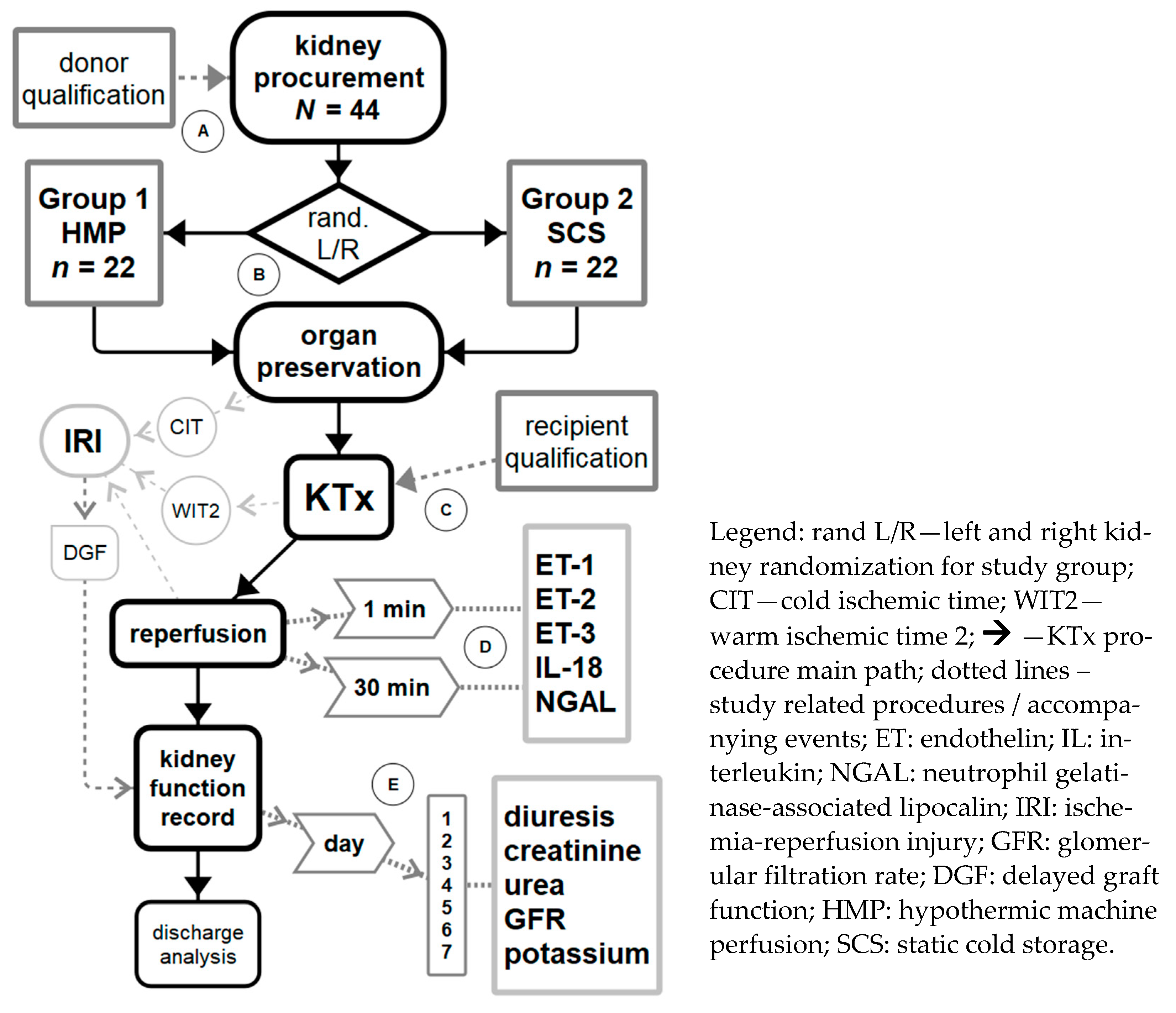 Biomedicines 09 00417 g001 Biomedicines 09 00417 g001