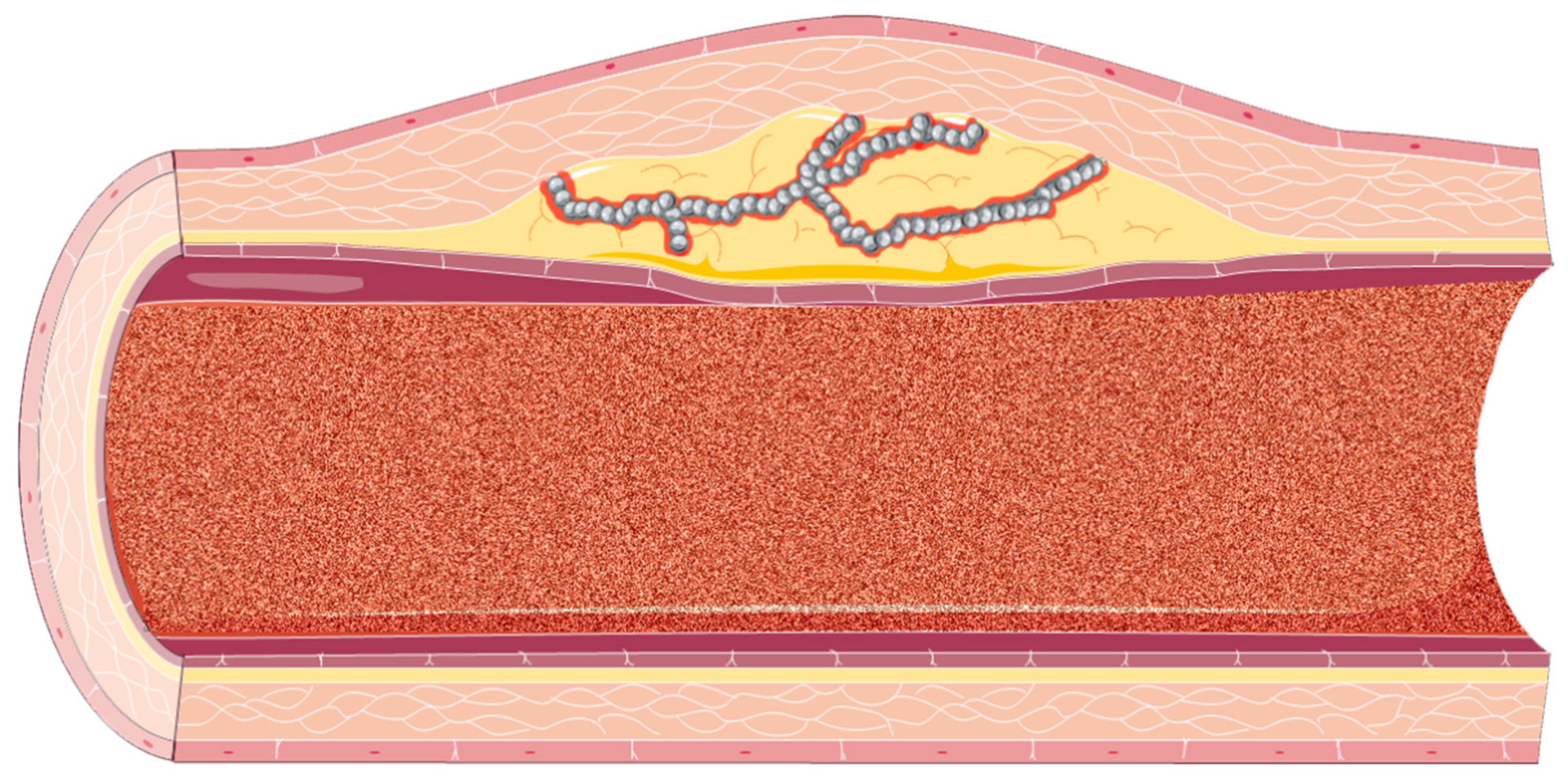 Biomedicines 09 00418 g003