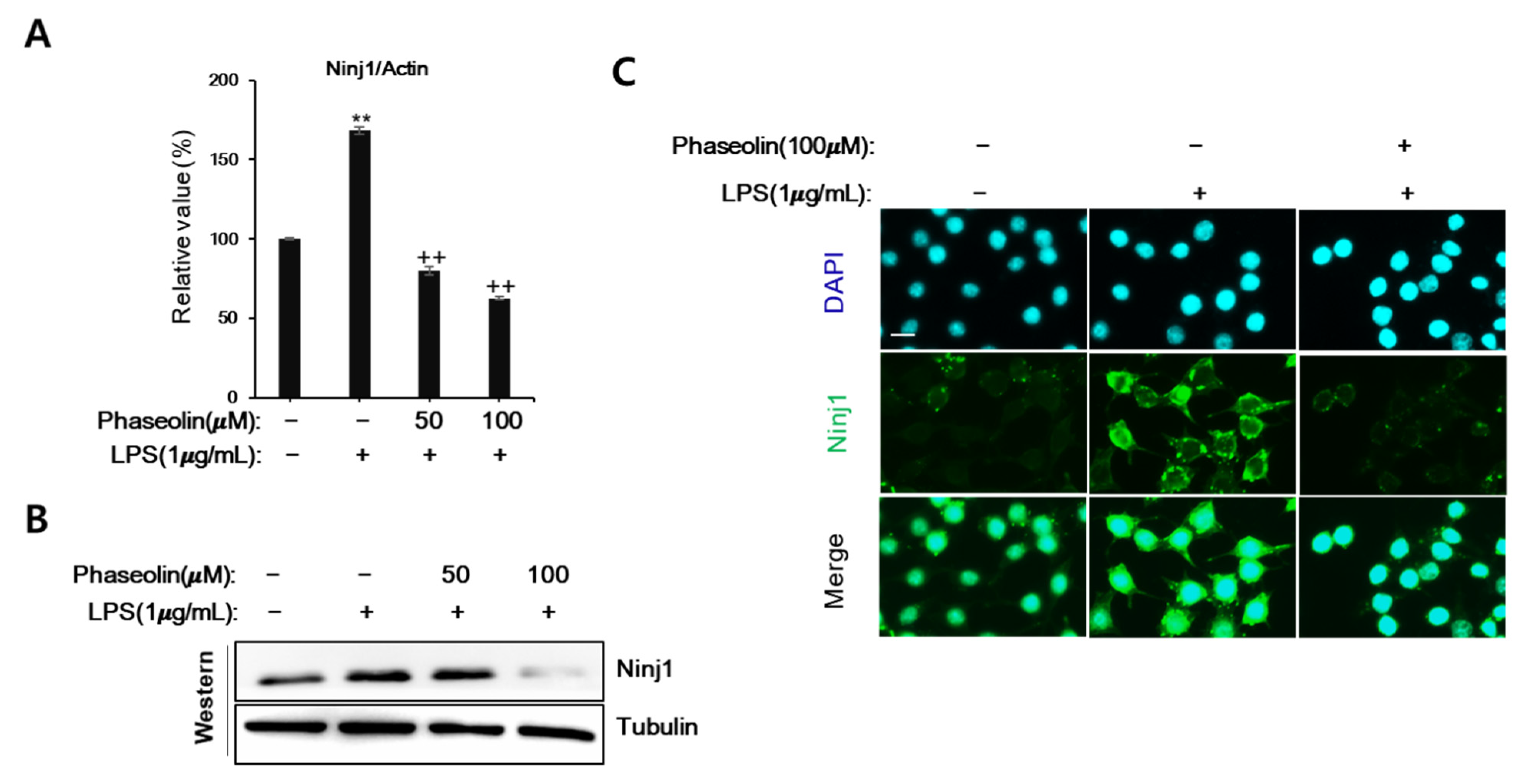 Biomedicines 09 00420 g004 Biomedicines 09 00420 g004