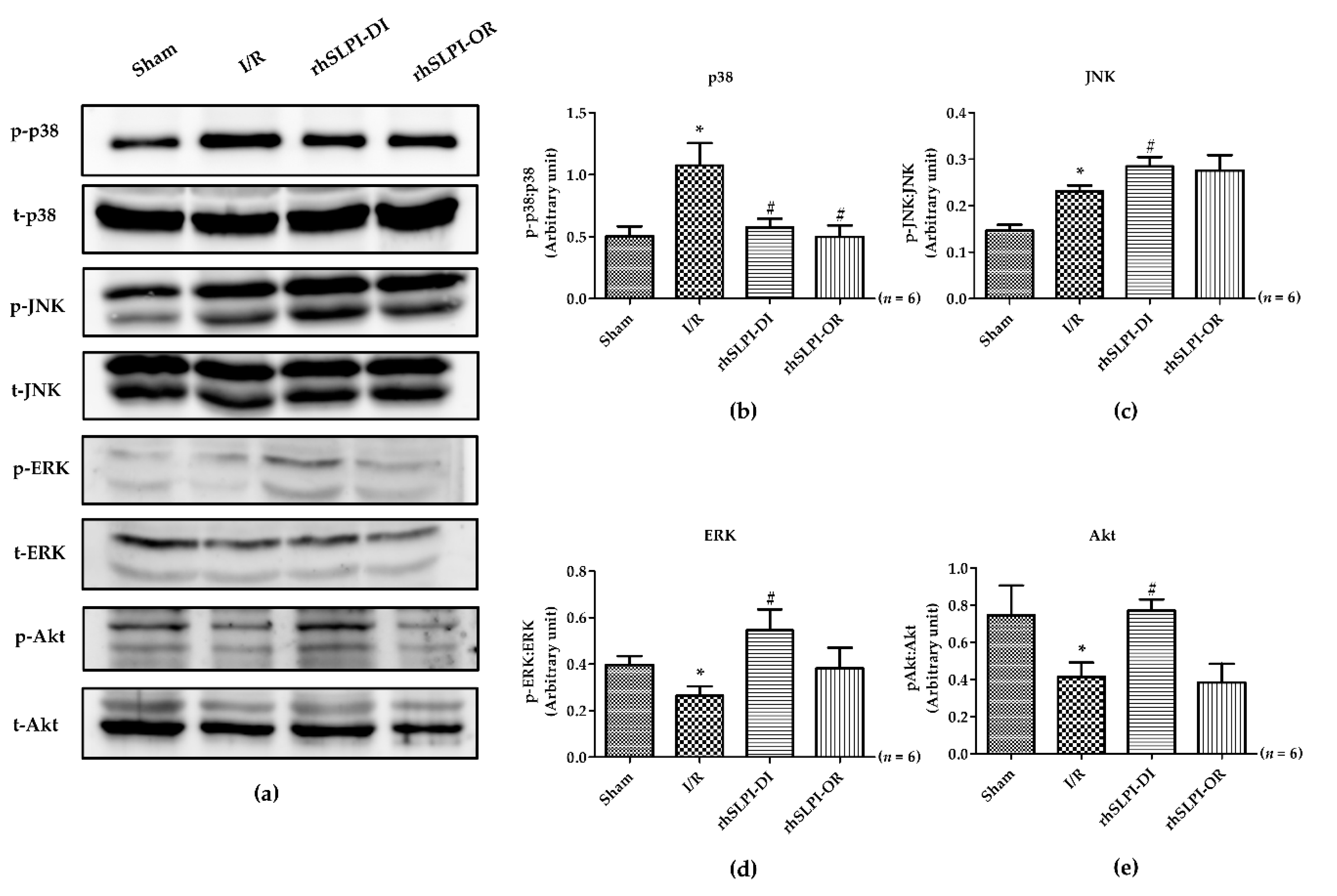 Biomedicines 09 00422 g006 Biomedicines 09 00422 g006