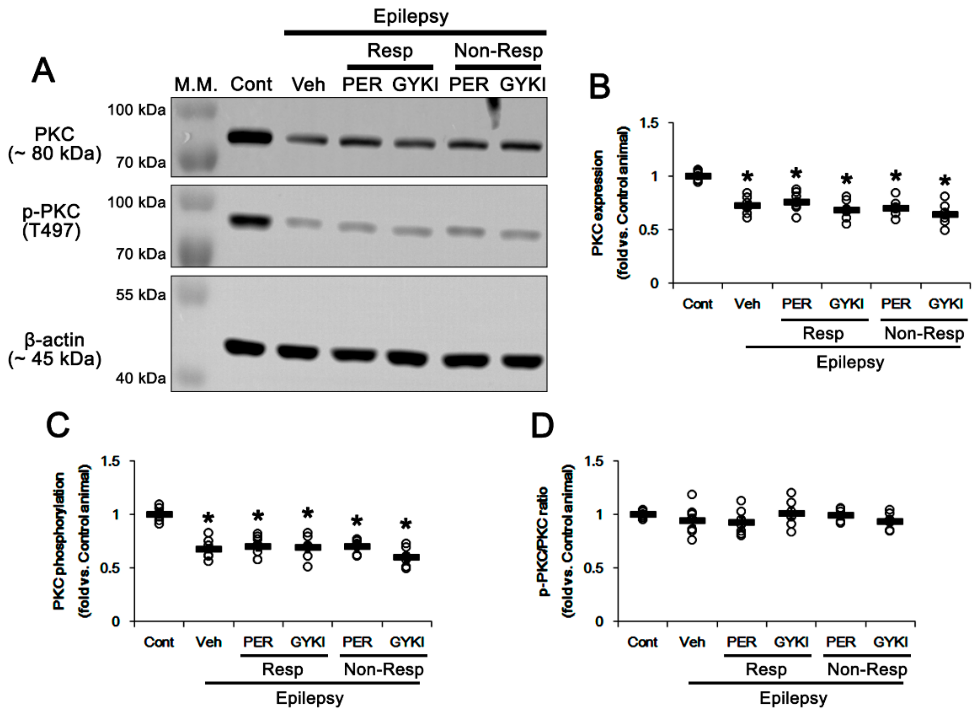 Biomedicines 09 00425 g004