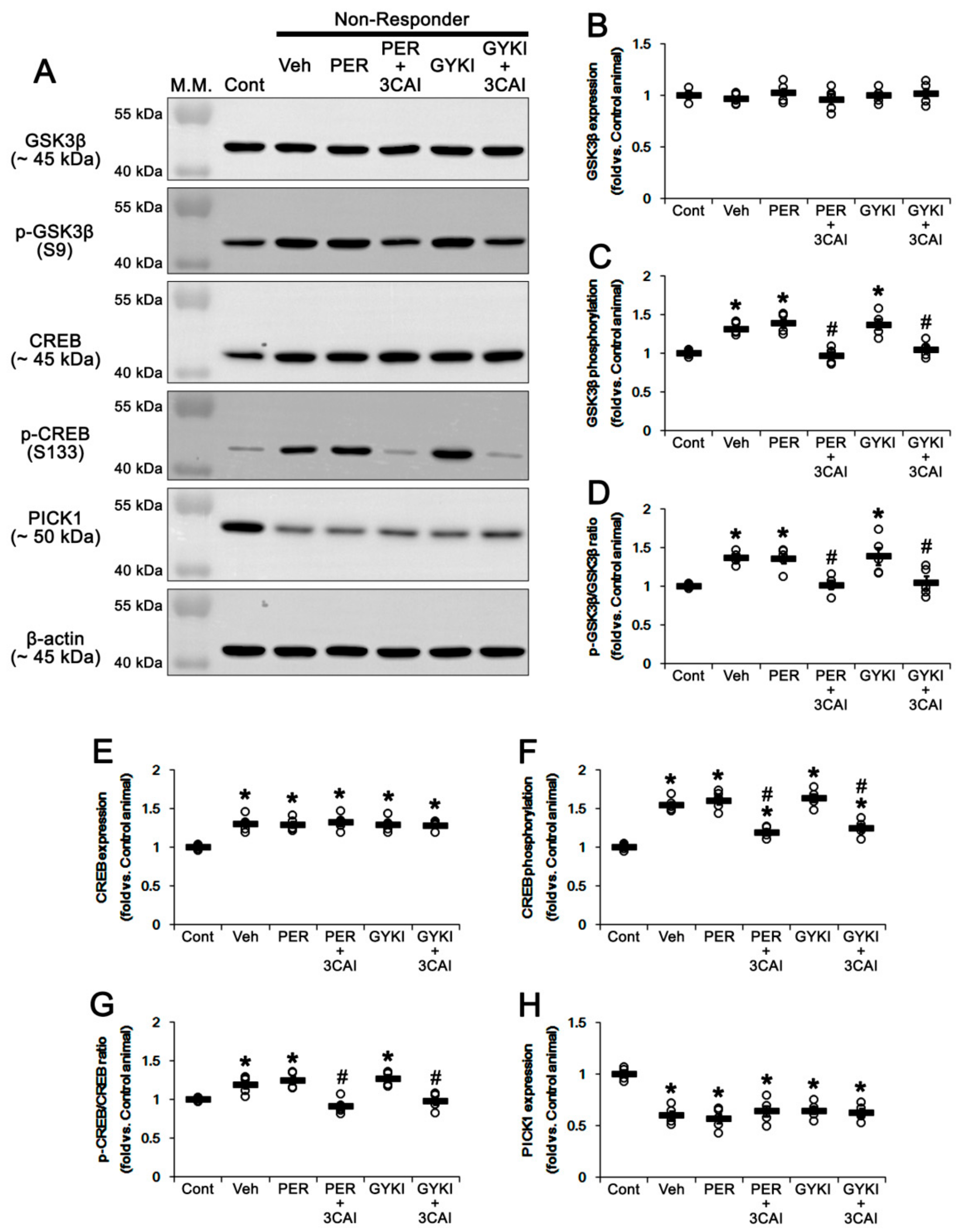 Biomedicines 09 00425 g009