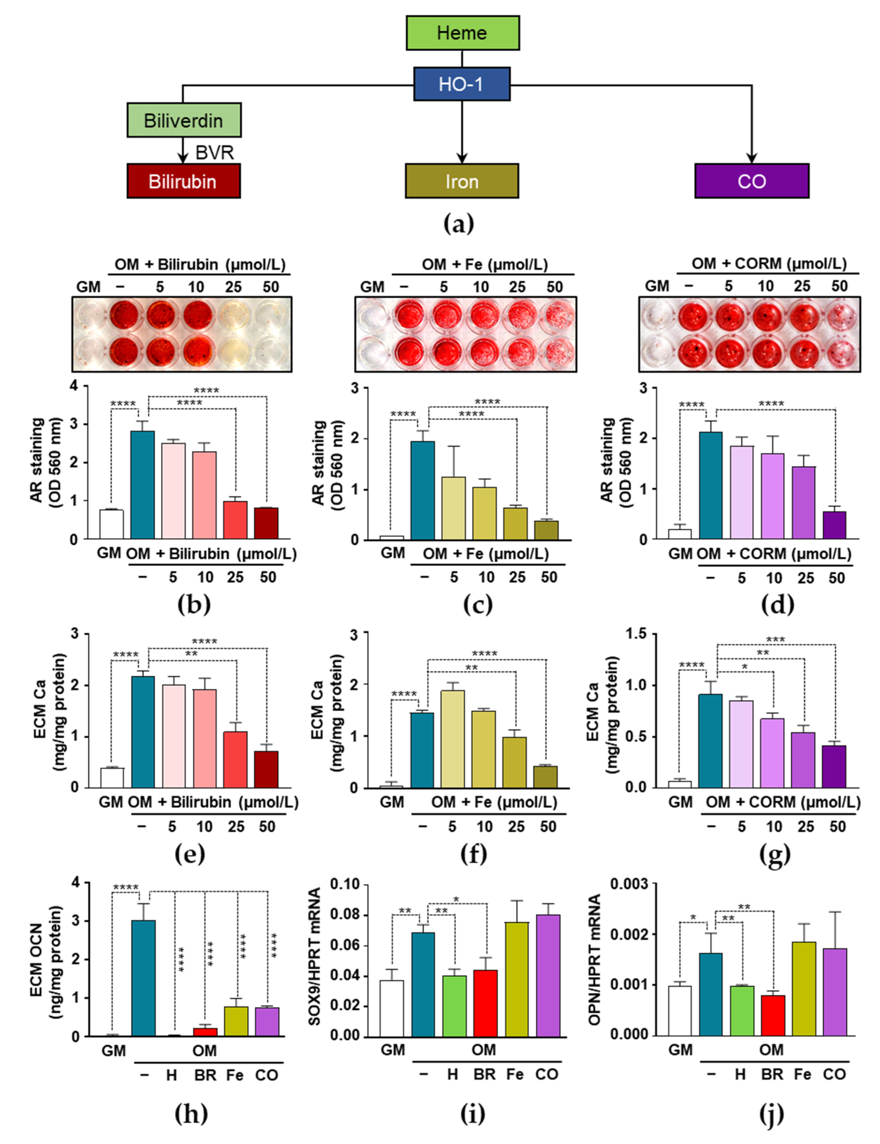 Biomedicines 09 00427 g005 Biomedicines 09 00427 g005