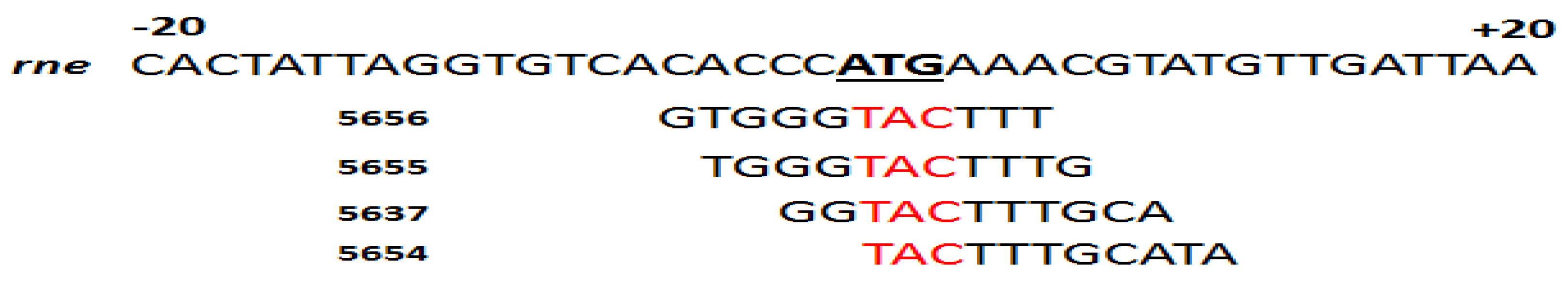 Biomedicines 09 00429 g004