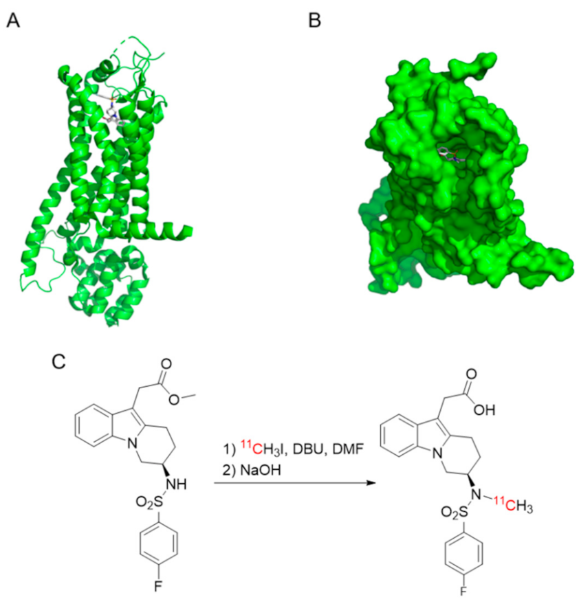 Biomedicines 09 00434 g001