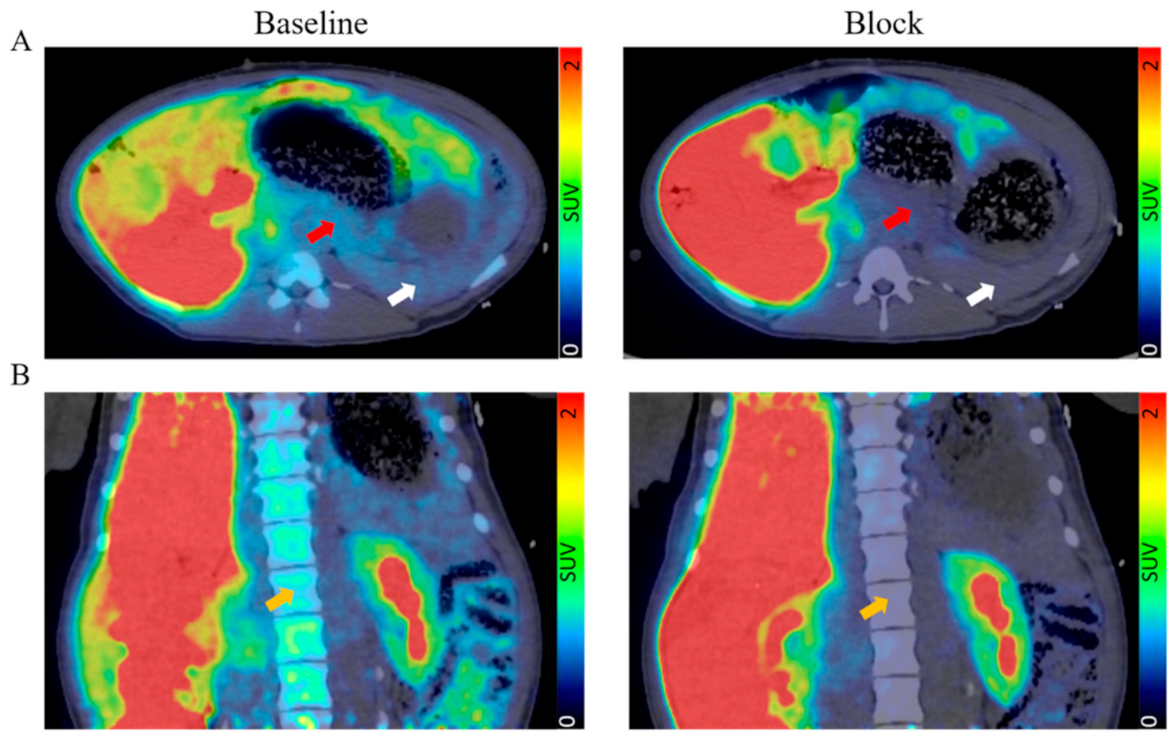 Biomedicines 09 00434 g004