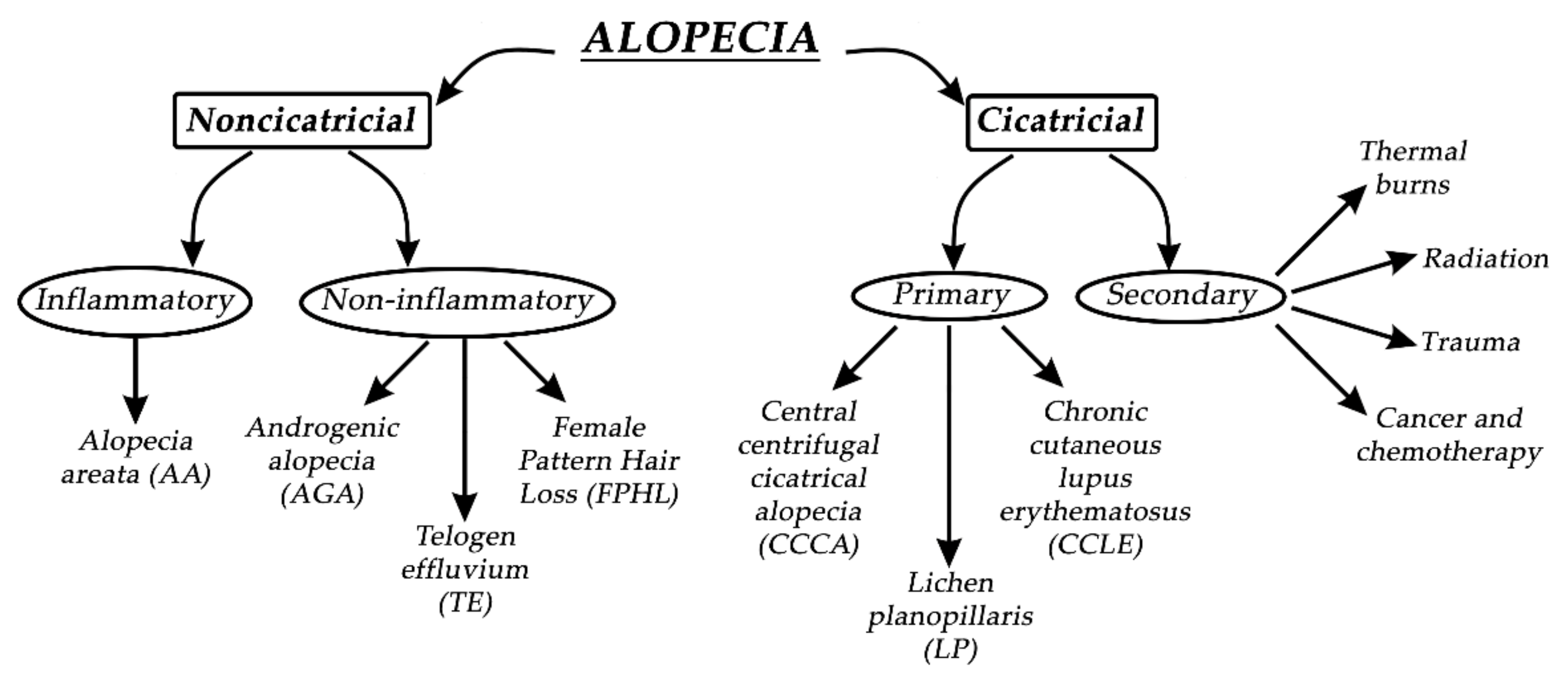 Biomedicines | Free Full-Text | Design of In Vitro Hair Follicles for  Different Applications in the Treatment of Alopecia—A Review