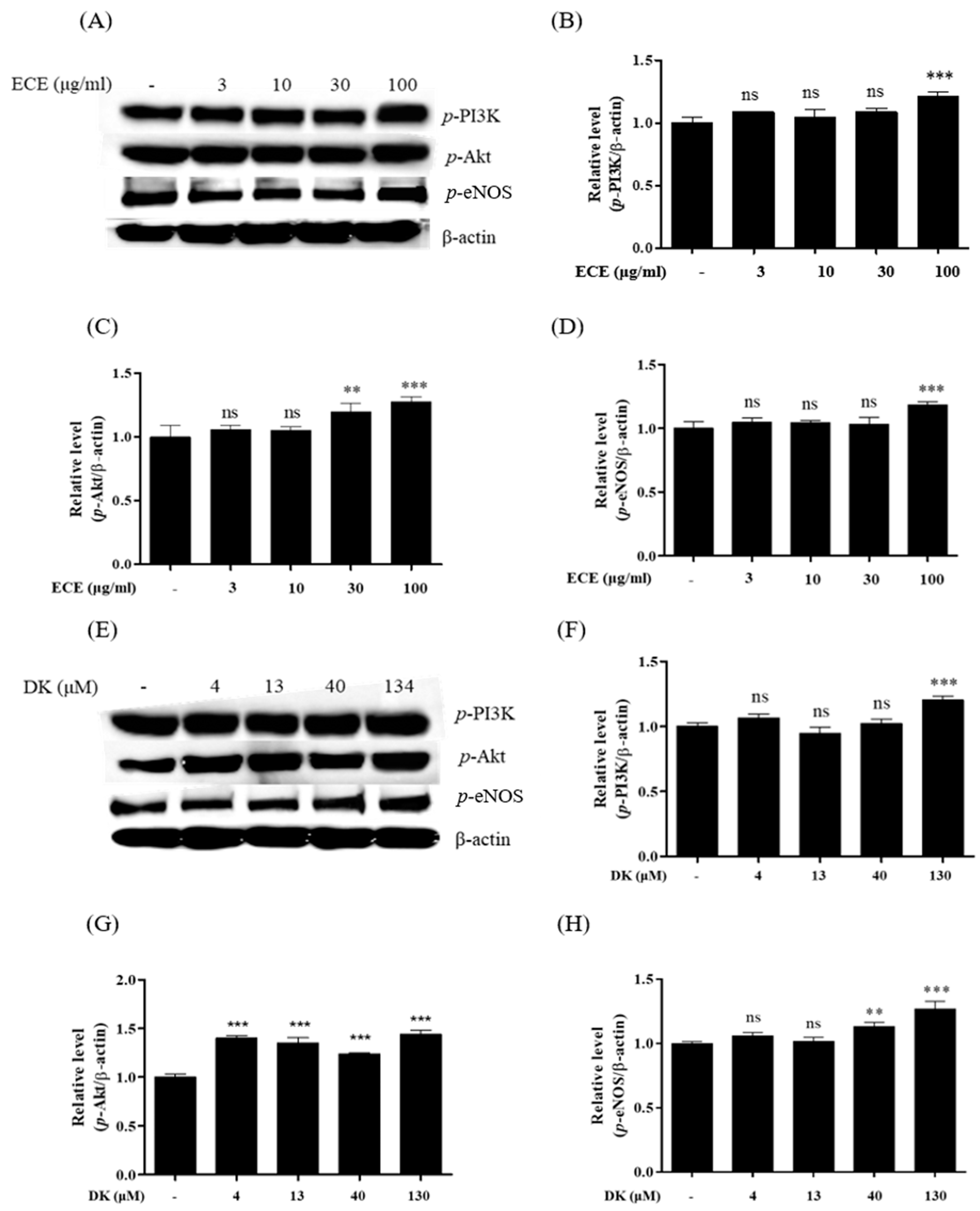 Biomedicines 09 00438 g002