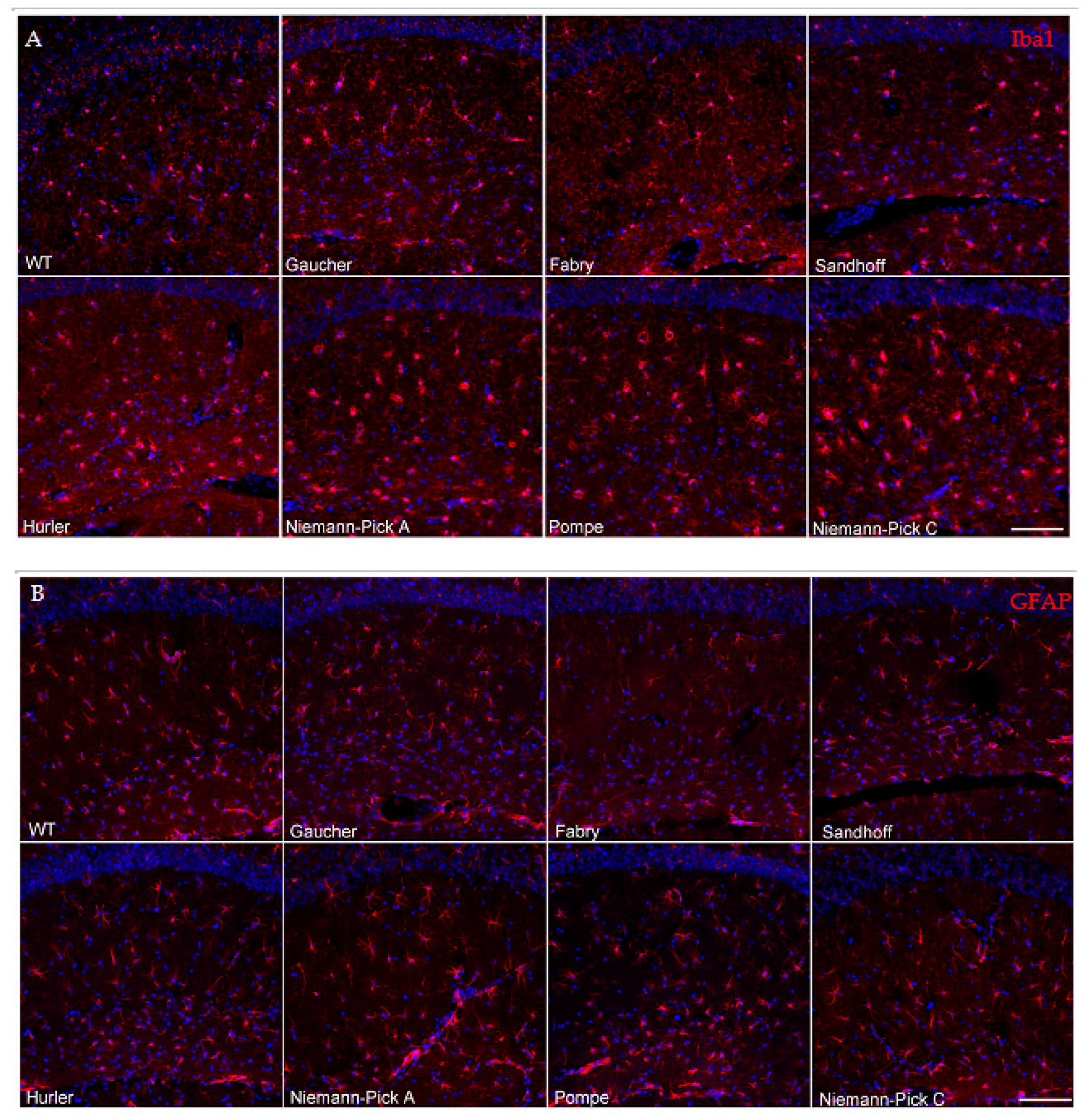 Biomedicines 09 00446 g002 Biomedicines 09 00446 g002