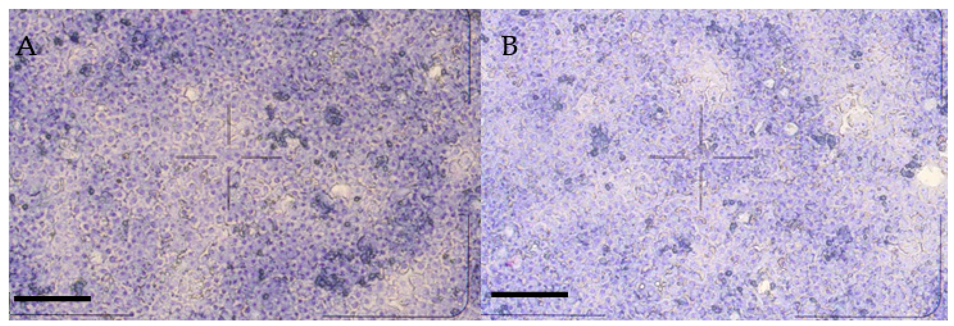 Biomedicines 09 00450 g001