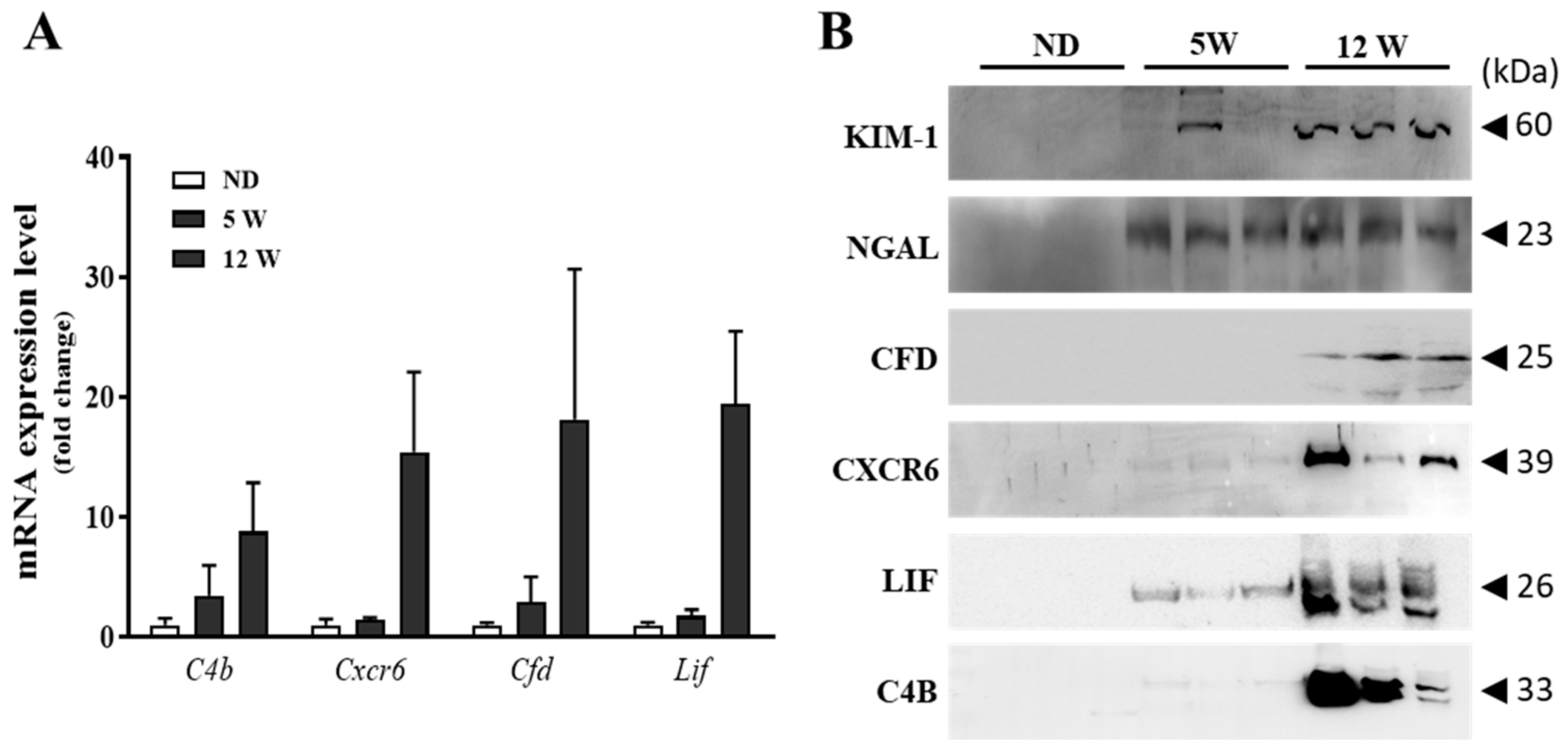 Biomedicines 09 00457 g005 Biomedicines 09 00457 g005