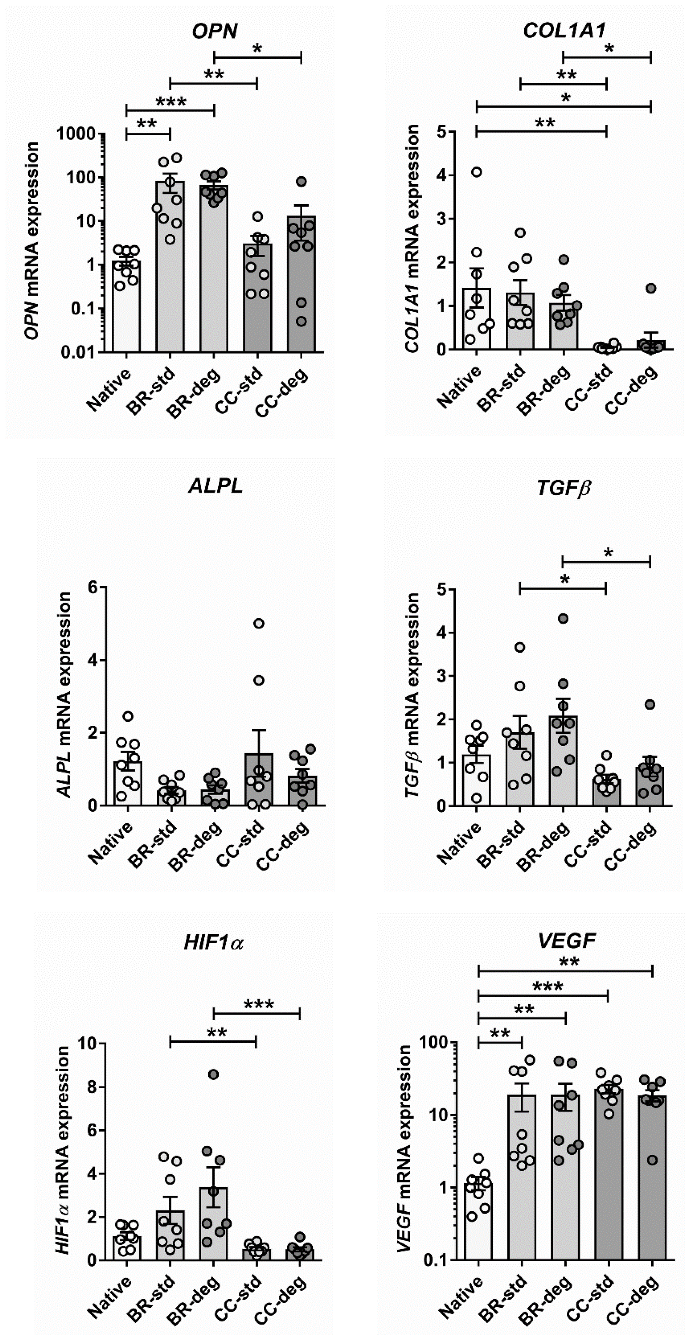 Biomedicines 09 00462 g005