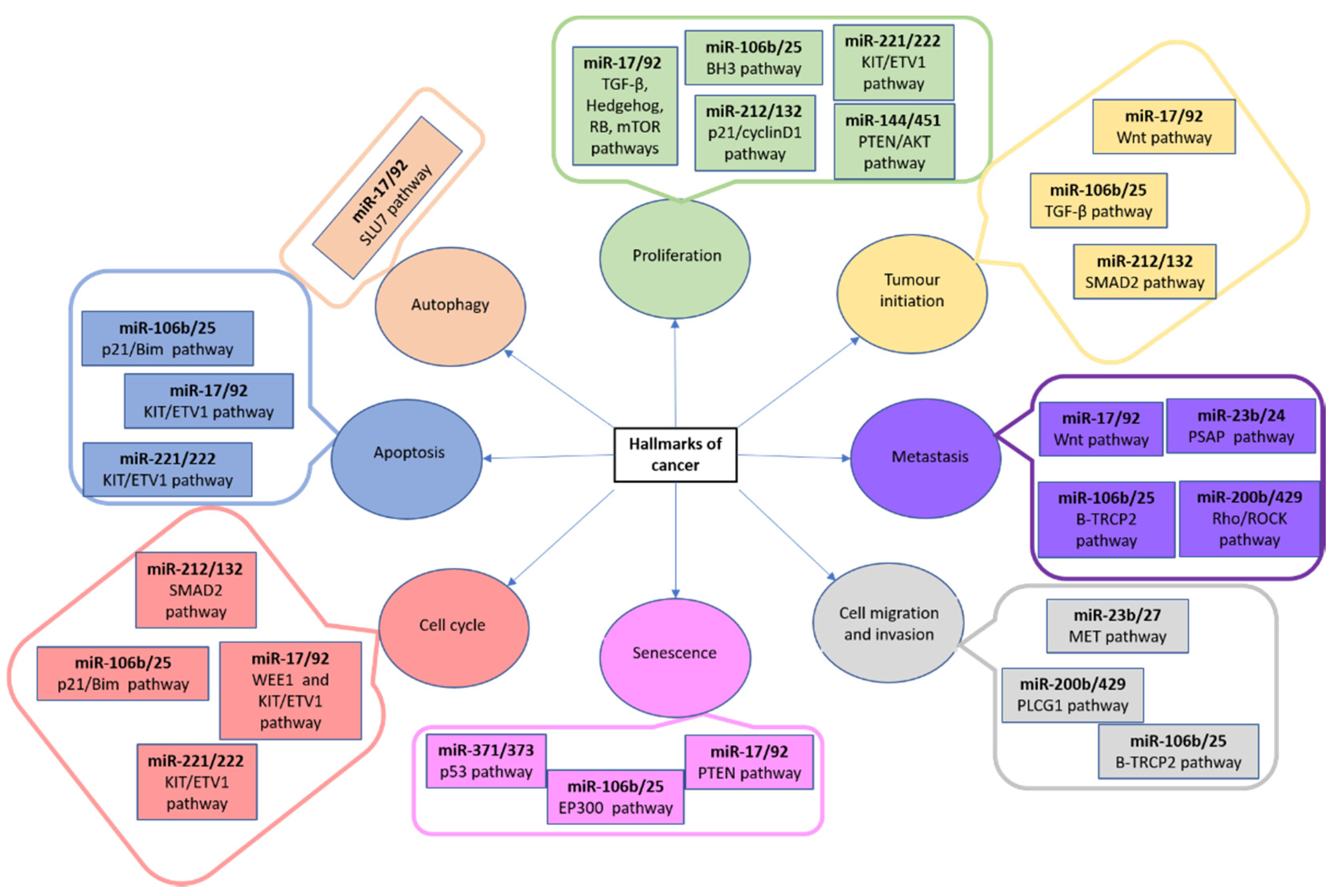 Biomedicines 09 00463 g002 Biomedicines 09 00463 g002