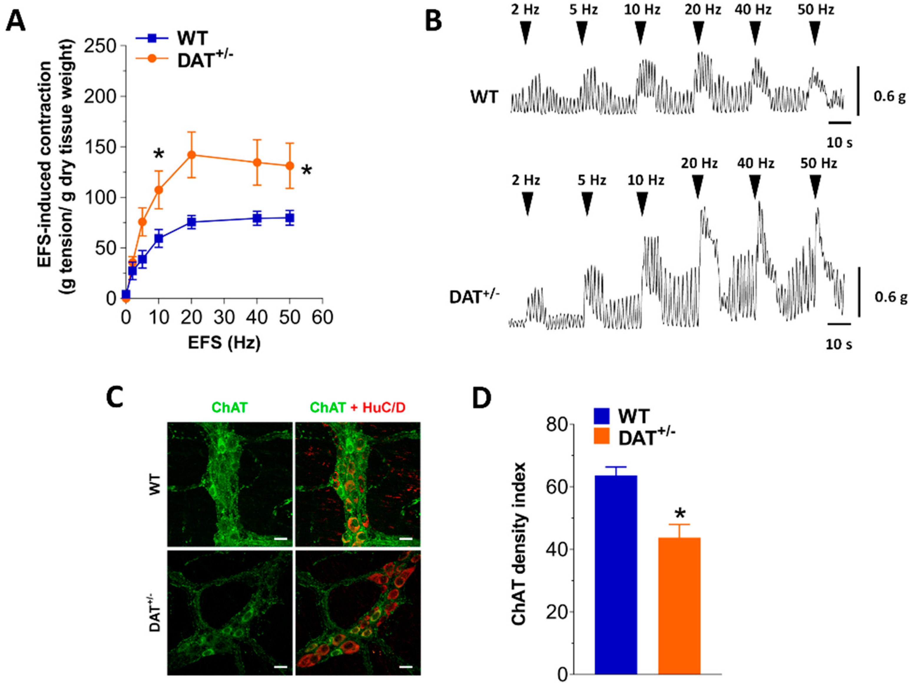 Biomedicines 09 00465 g004 Biomedicines 09 00465 g004