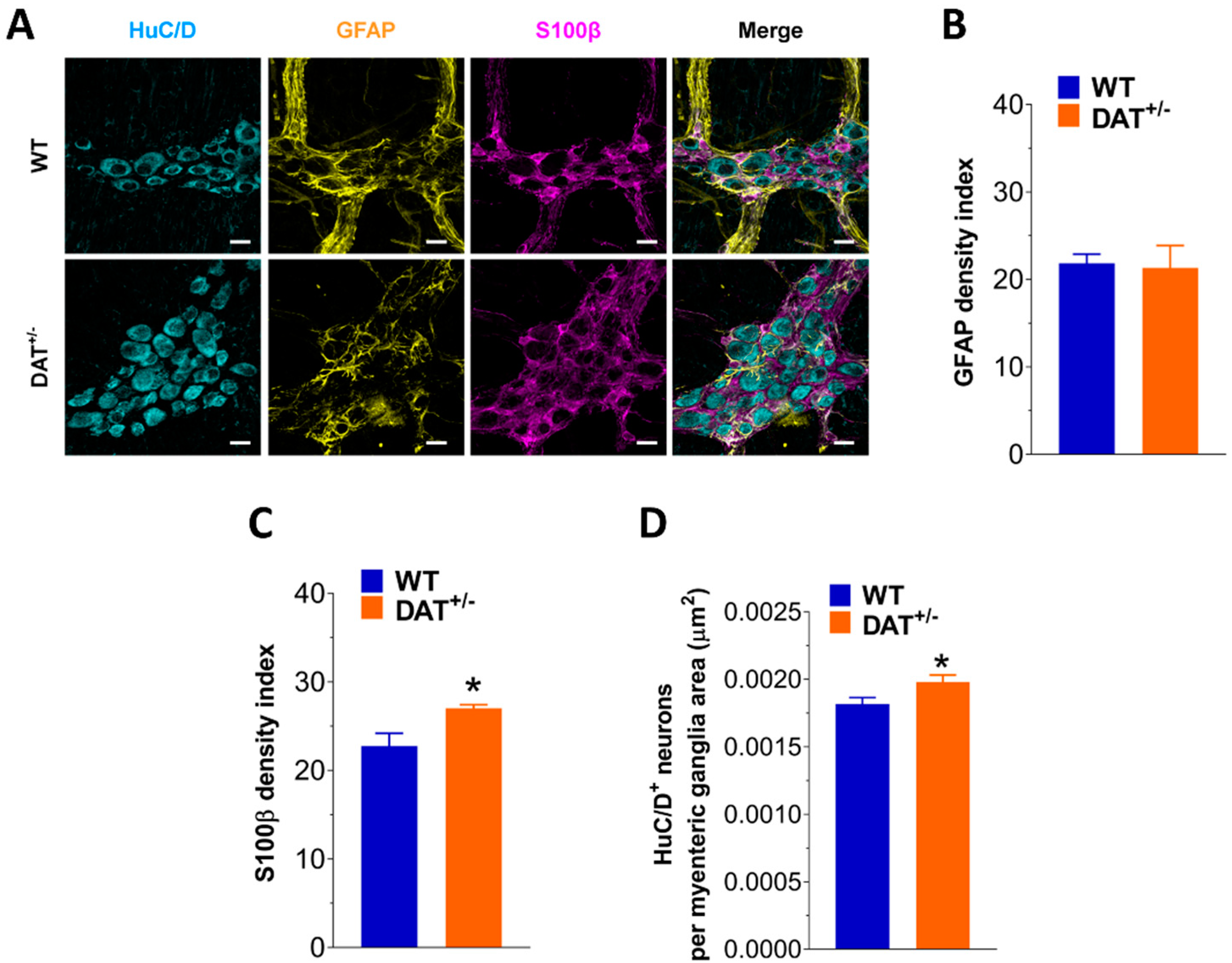 Biomedicines 09 00465 g007 Biomedicines 09 00465 g007