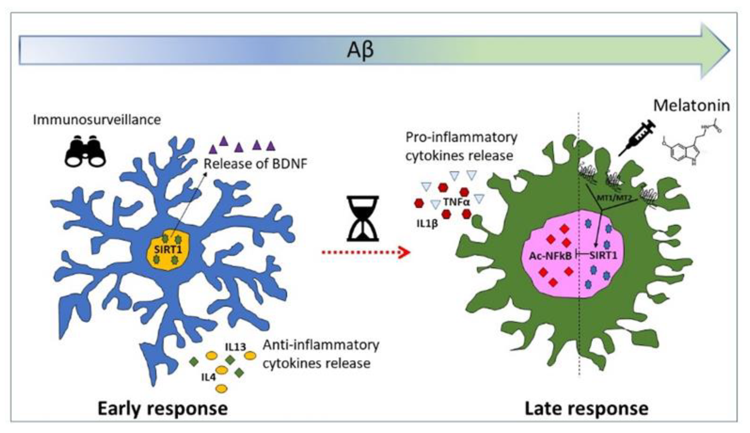 Biomedicines 09 00466 g007