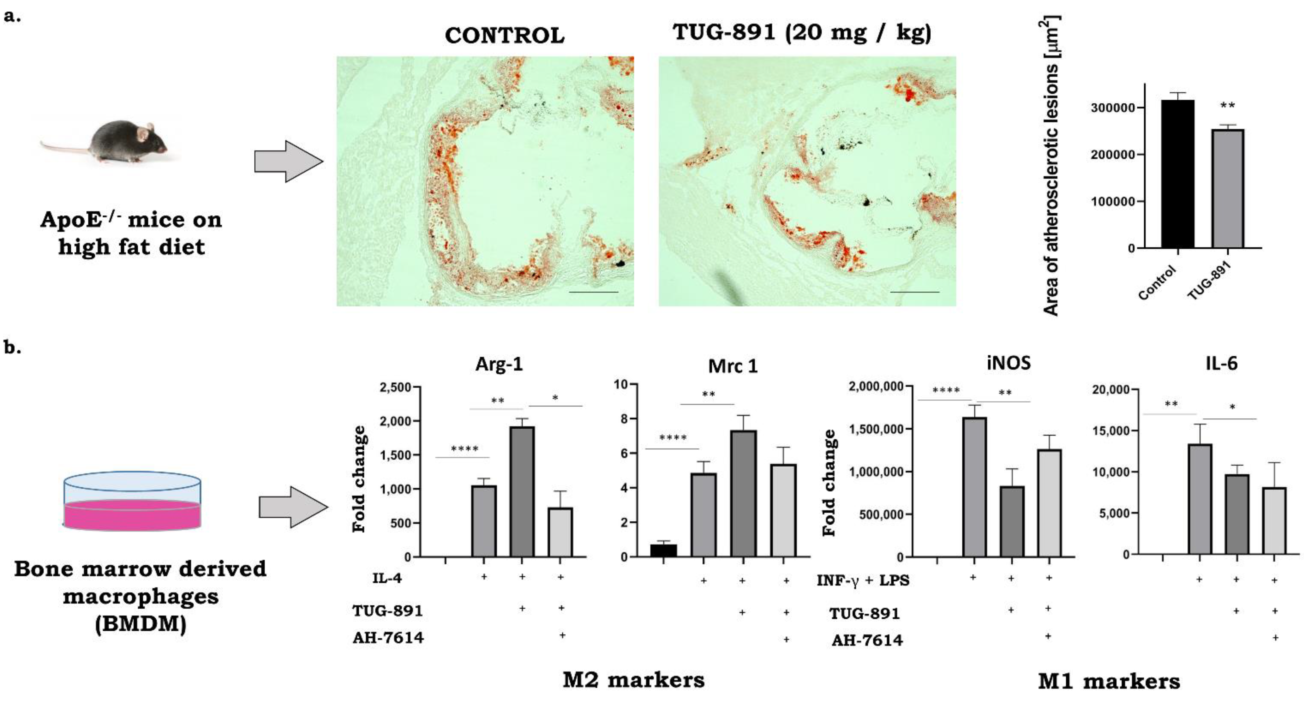 Biomedicines 09 00467 g001 Biomedicines 09 00467 g001