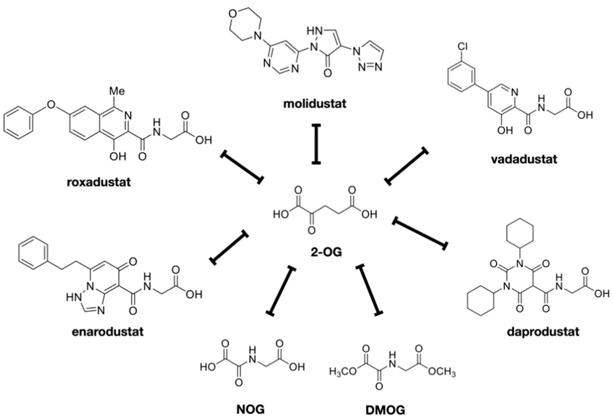 Biomedicines 09 00468 g003 Biomedicines 09 00468 g003