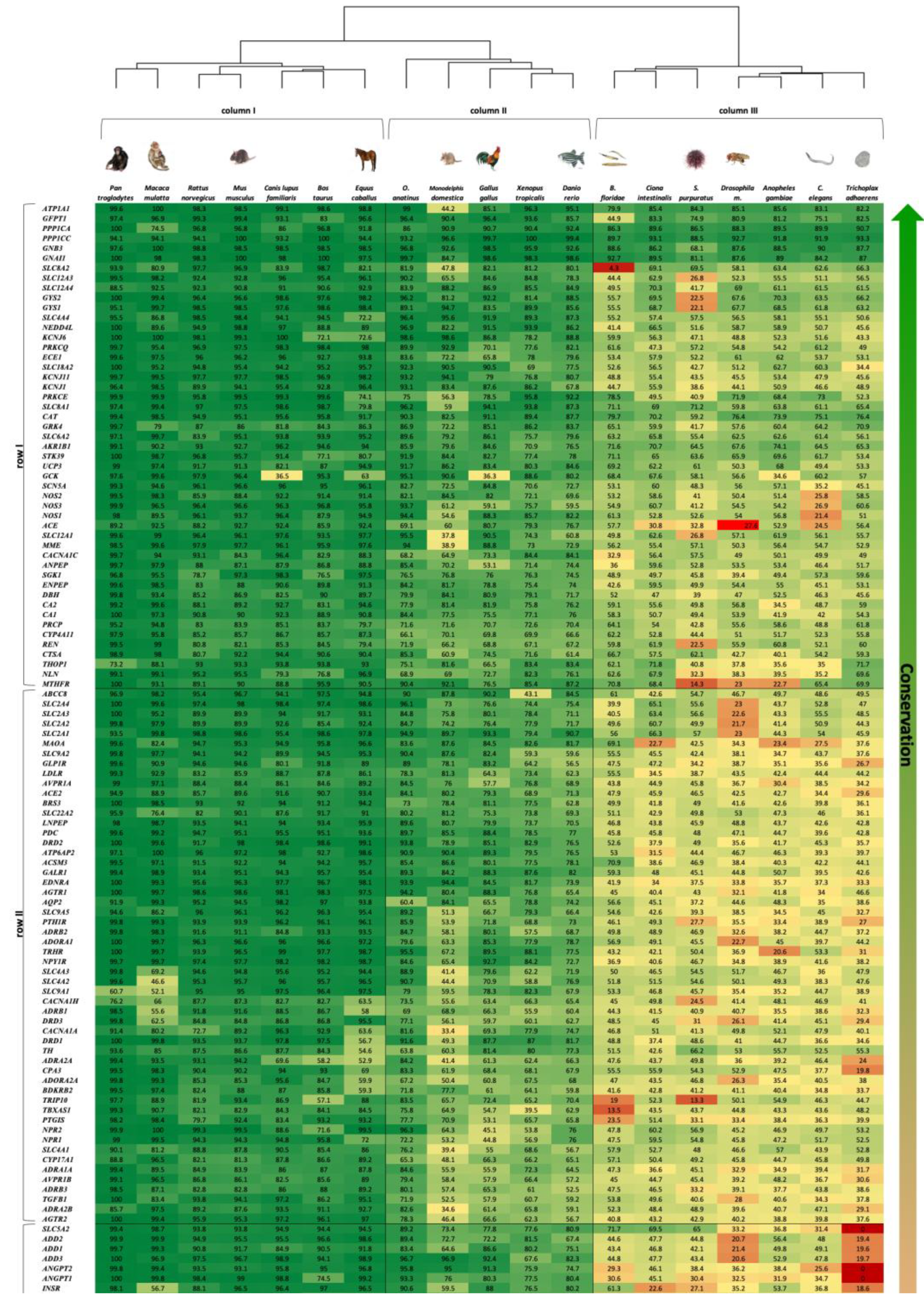 Biomedicines 09 00469 g001a
