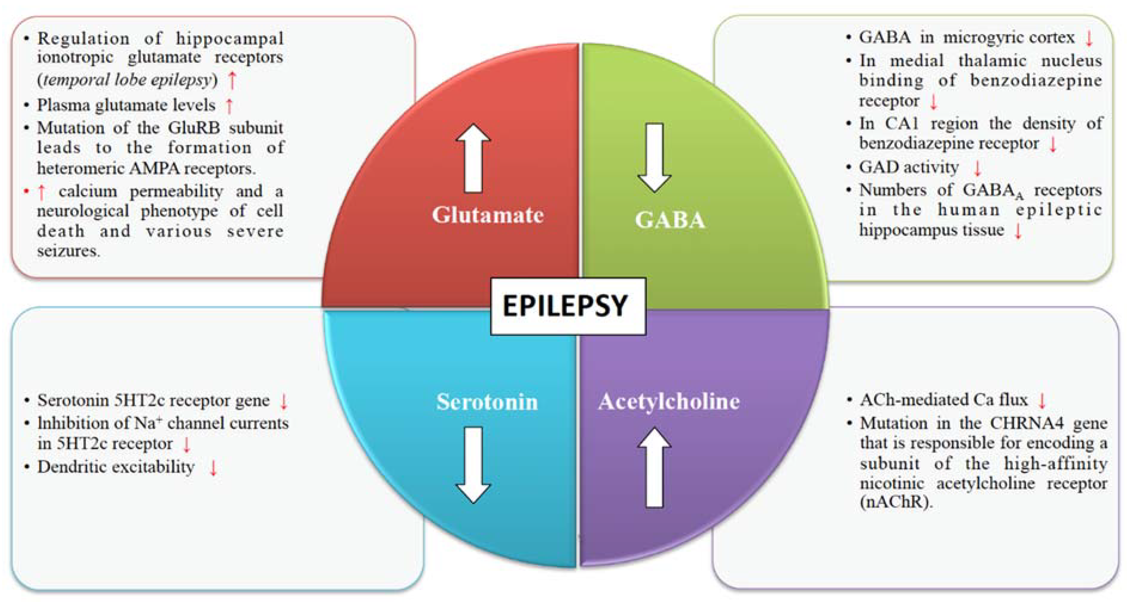 latest epilepsy research