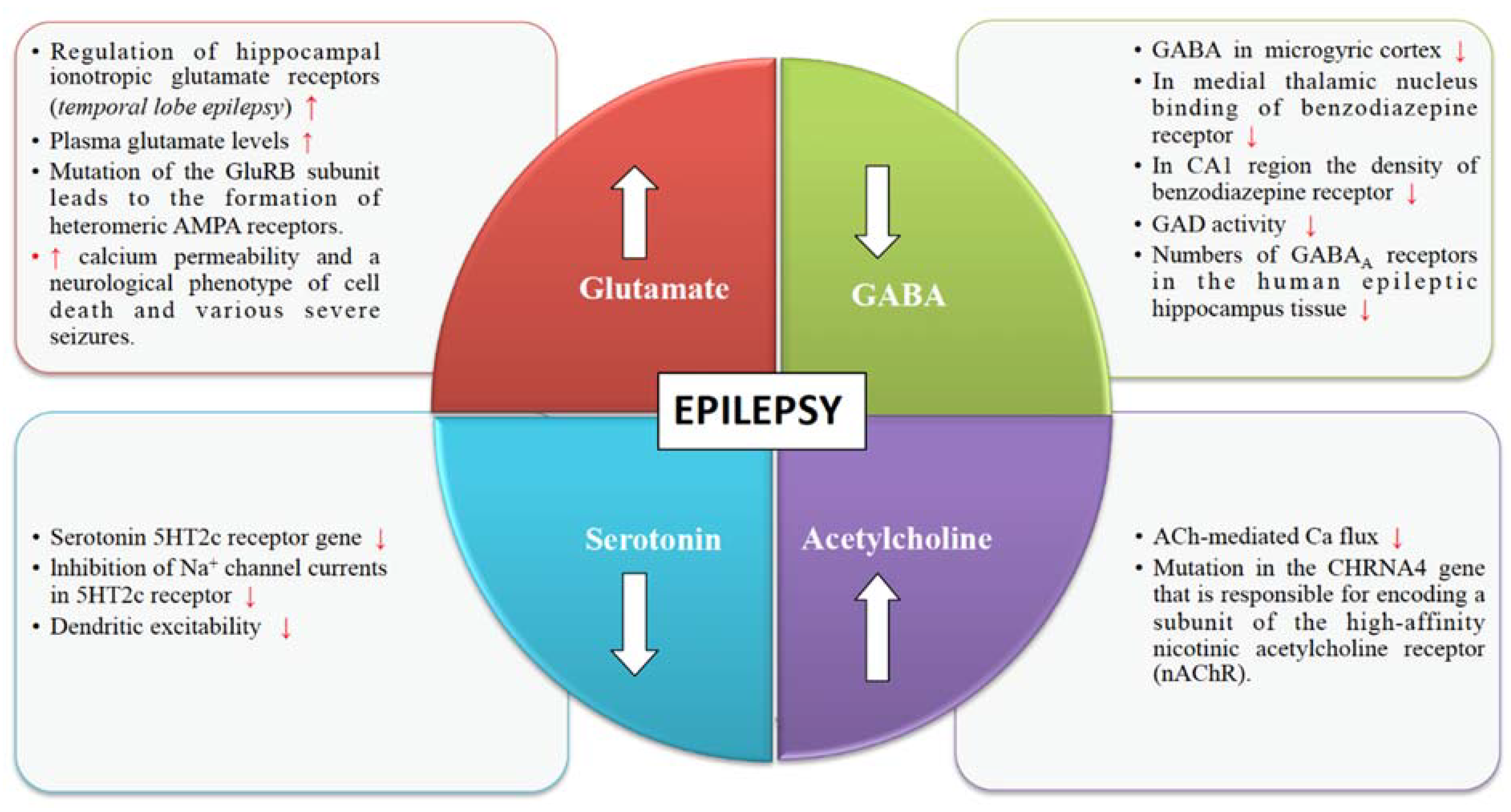 Biomedicines Free FullText Pharmacological and Therapeutic