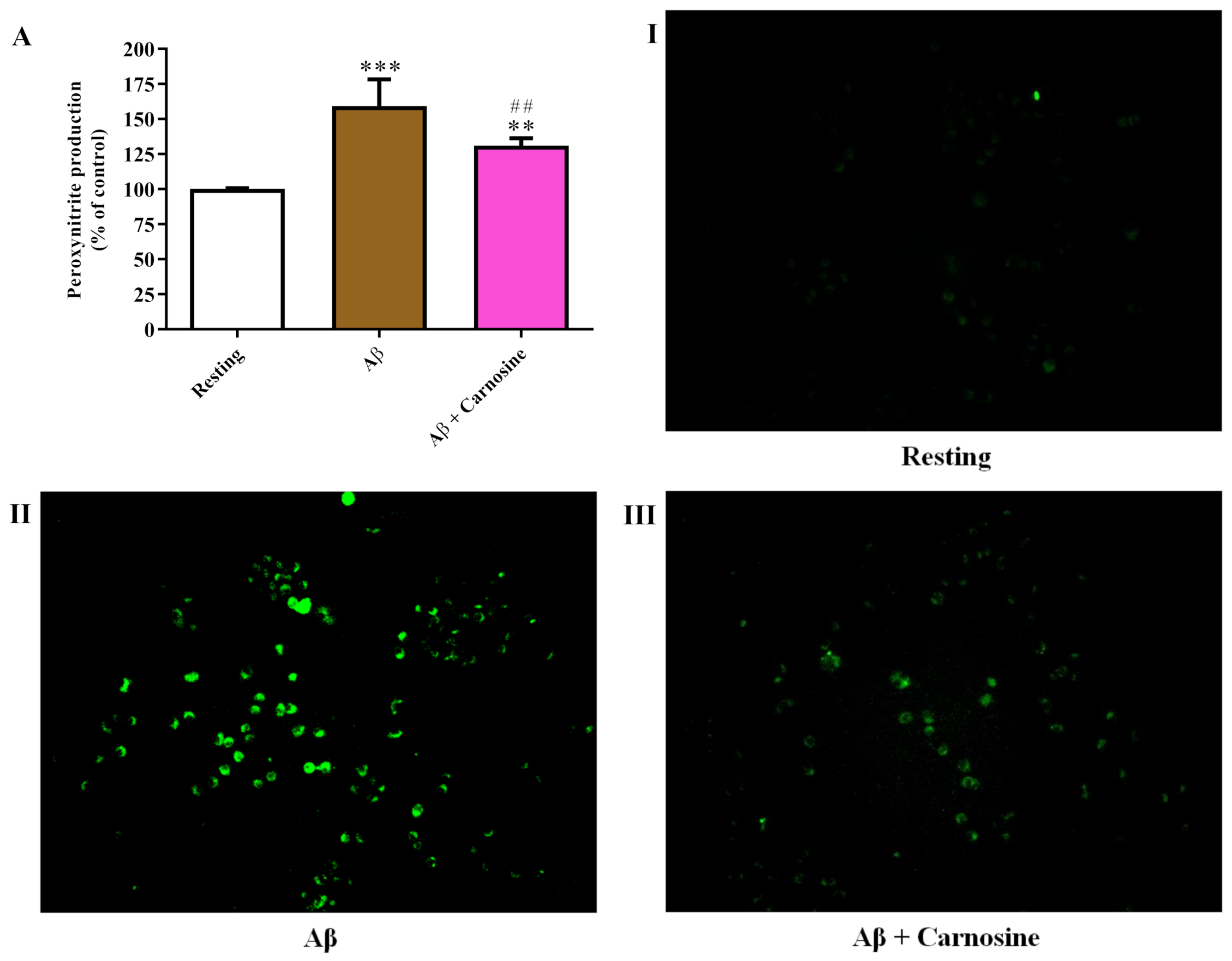 Biomedicines 09 00477 g005