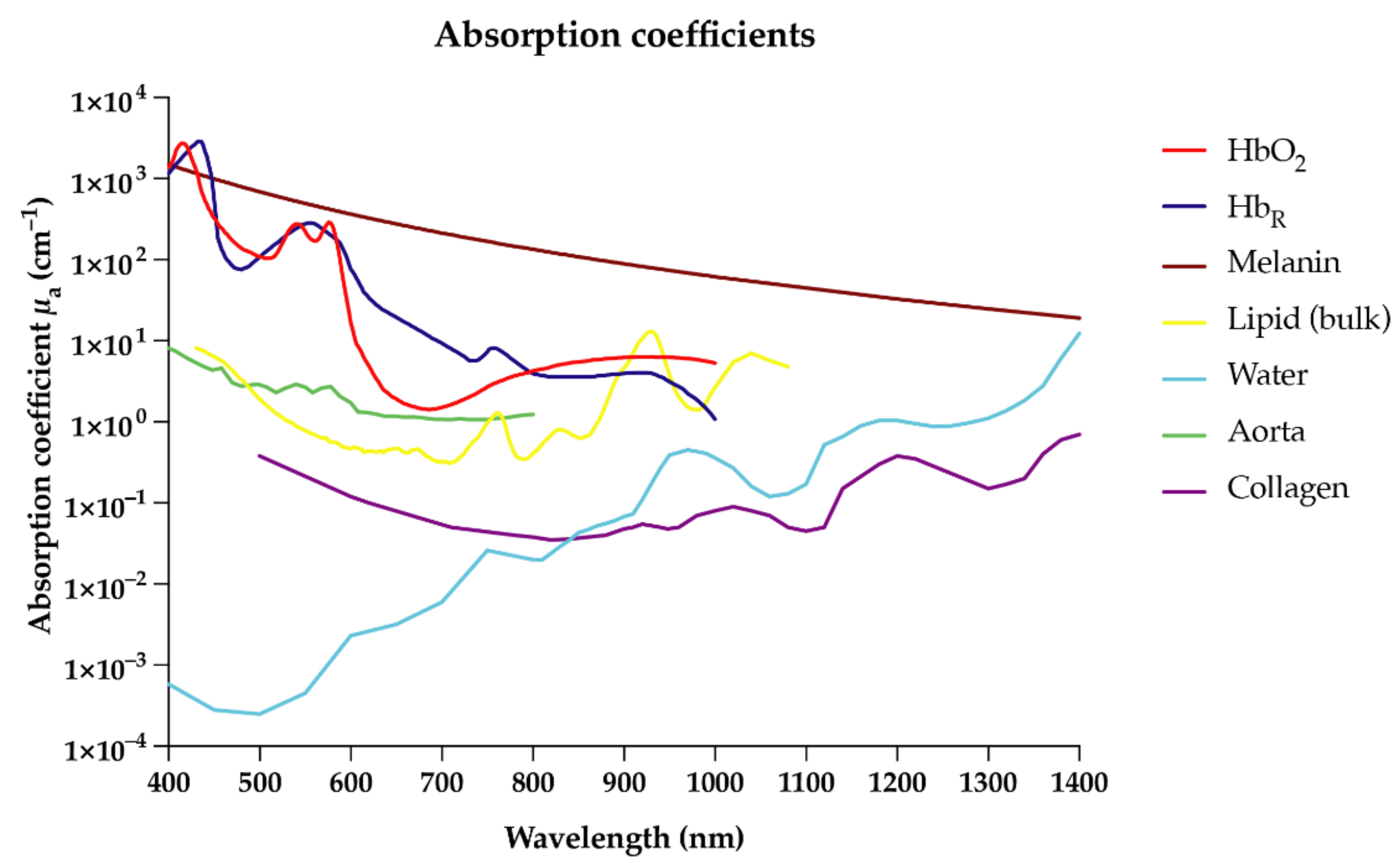Biomedicines 09 00483 g001 Biomedicines 09 00483 g001