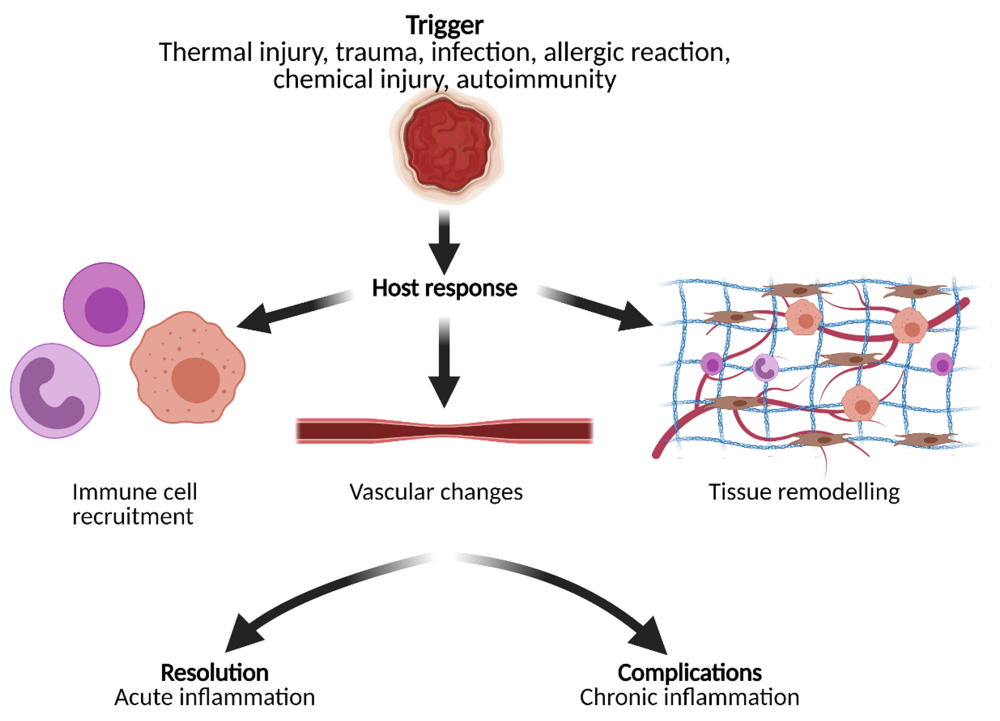 Biomedicines 09 00483 g002 Biomedicines 09 00483 g002