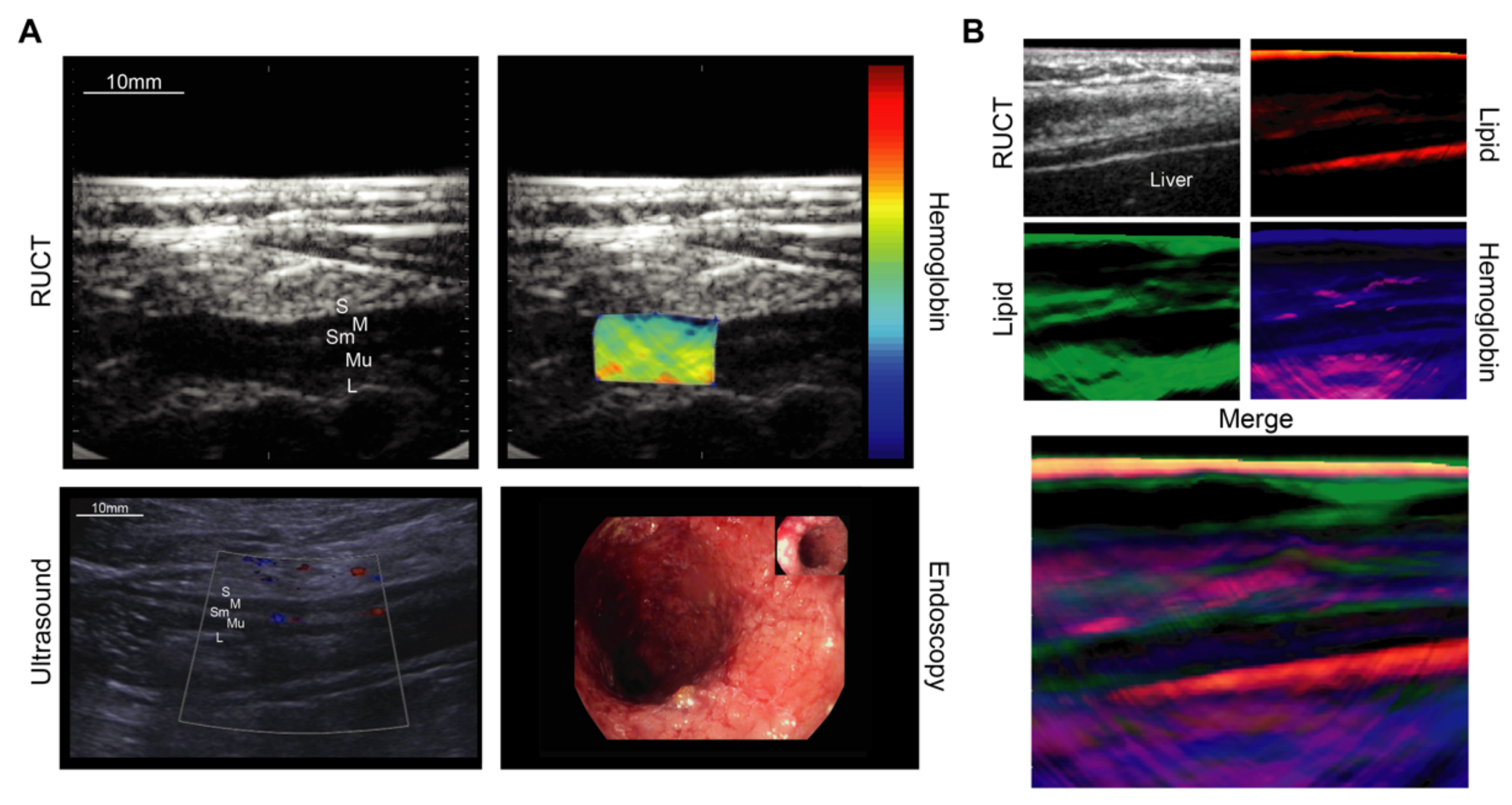 Biomedicines 09 00483 g004 Biomedicines 09 00483 g004