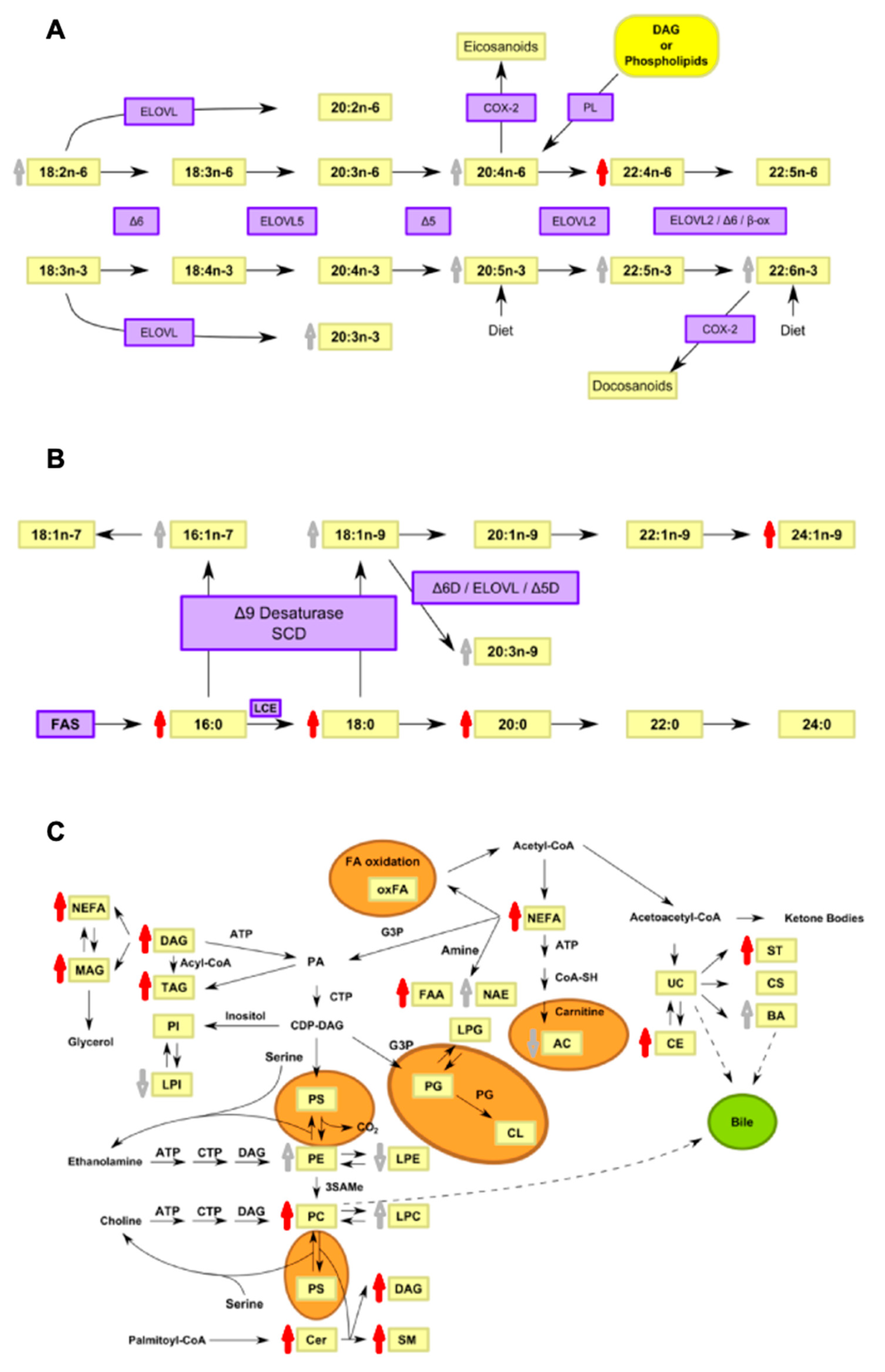 Biomedicines 09 00491 g006 Biomedicines 09 00491 g006