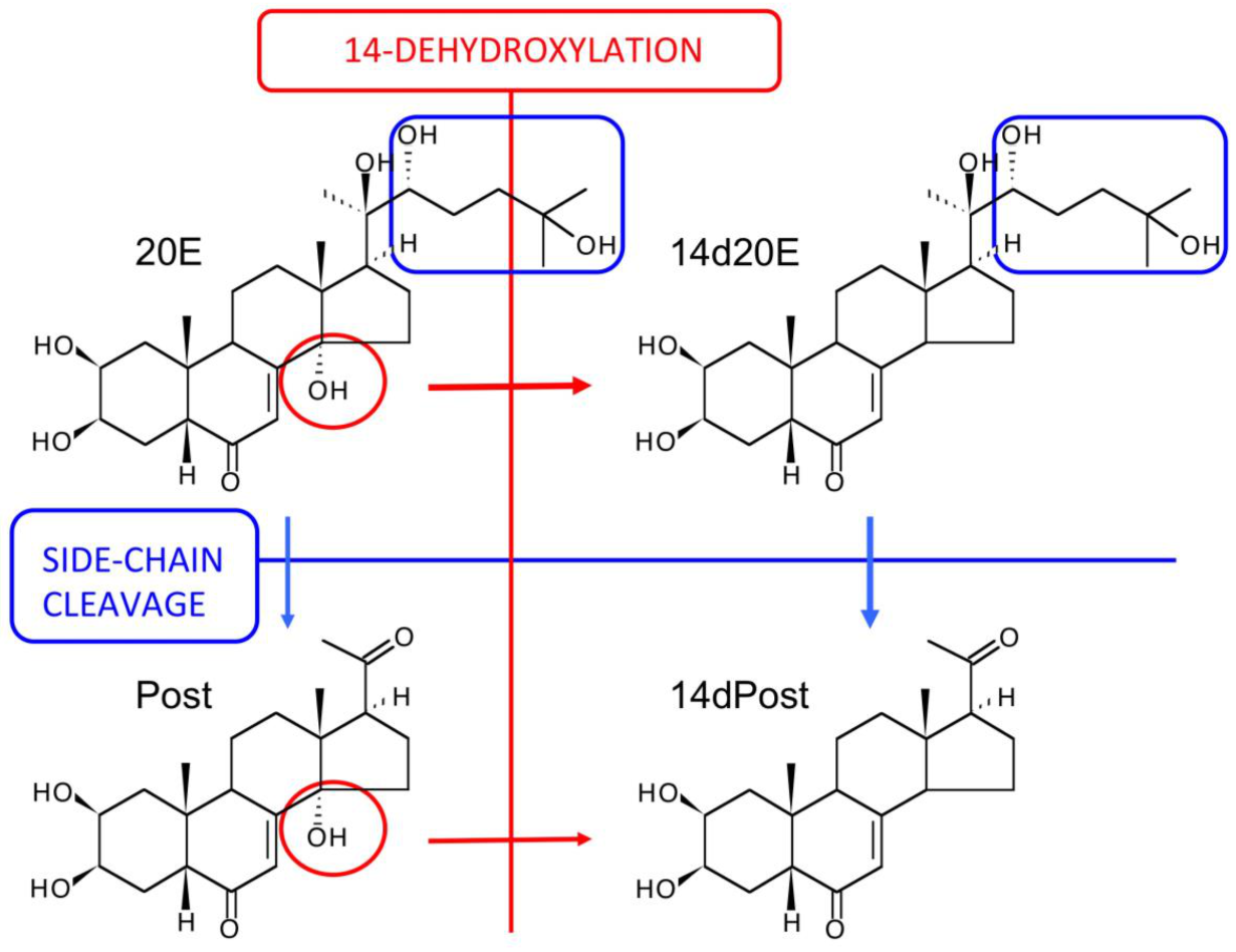 Biomedicines 09 00492 g010