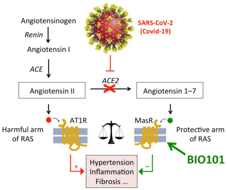 Biomedicines 09 00492 g012