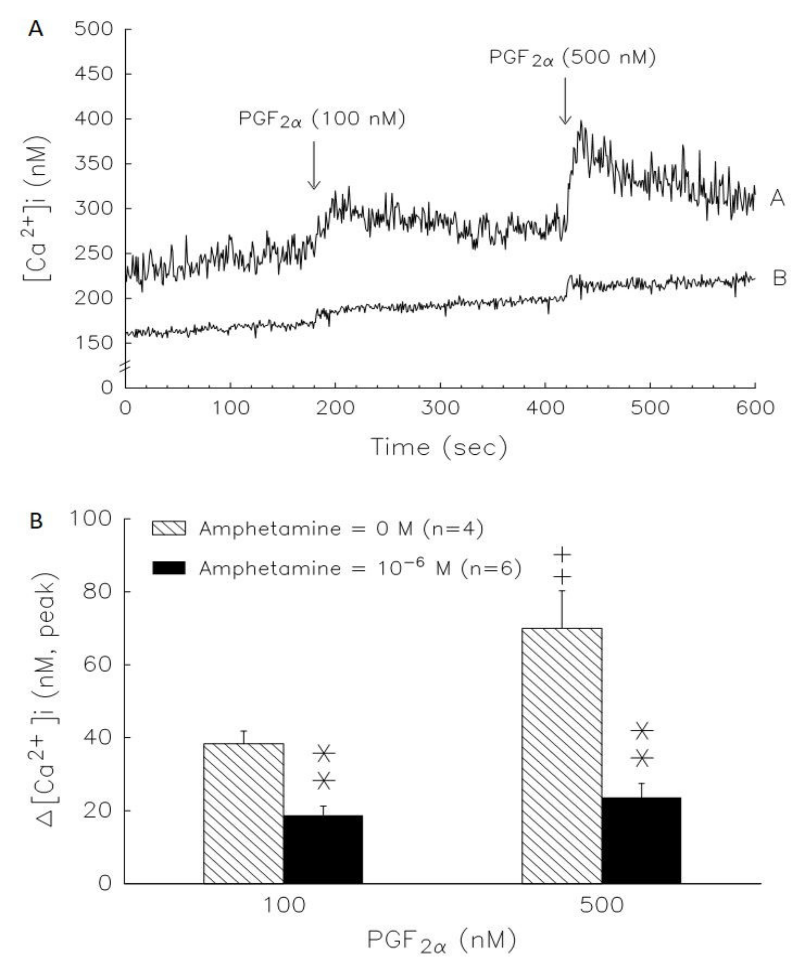 Biomedicines 09 00493 g007