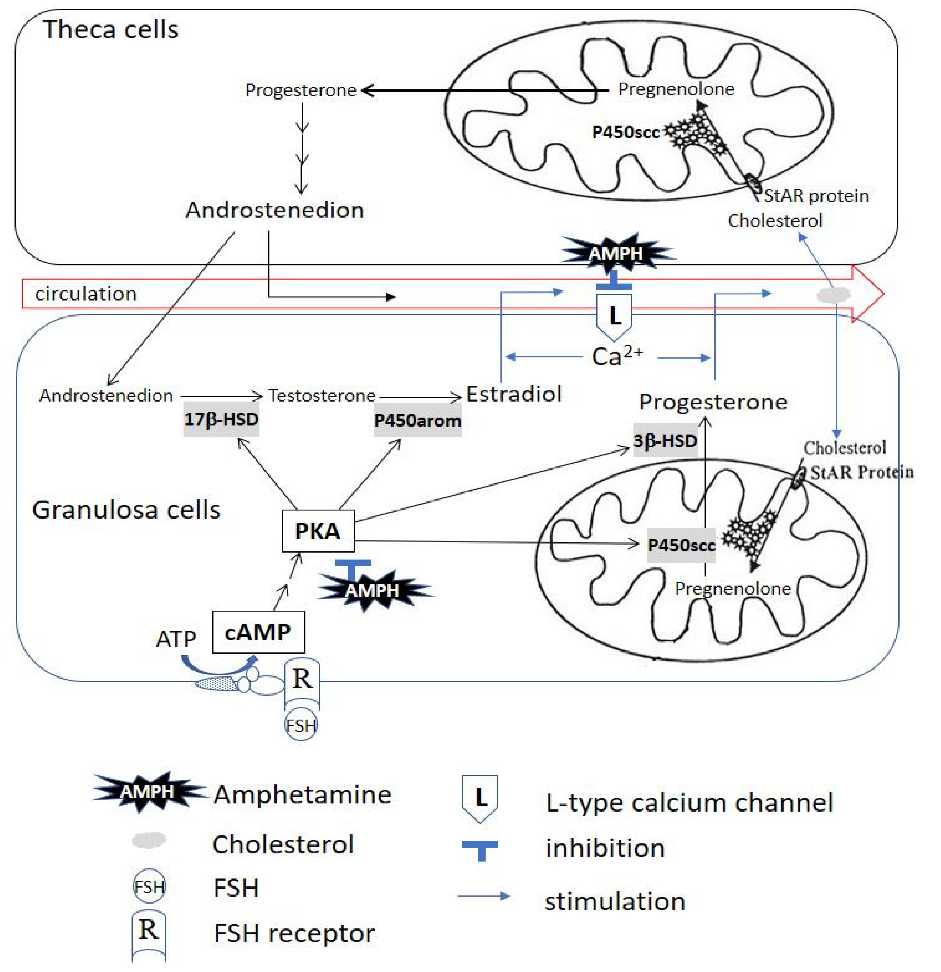 Biomedicines 09 00493 g008