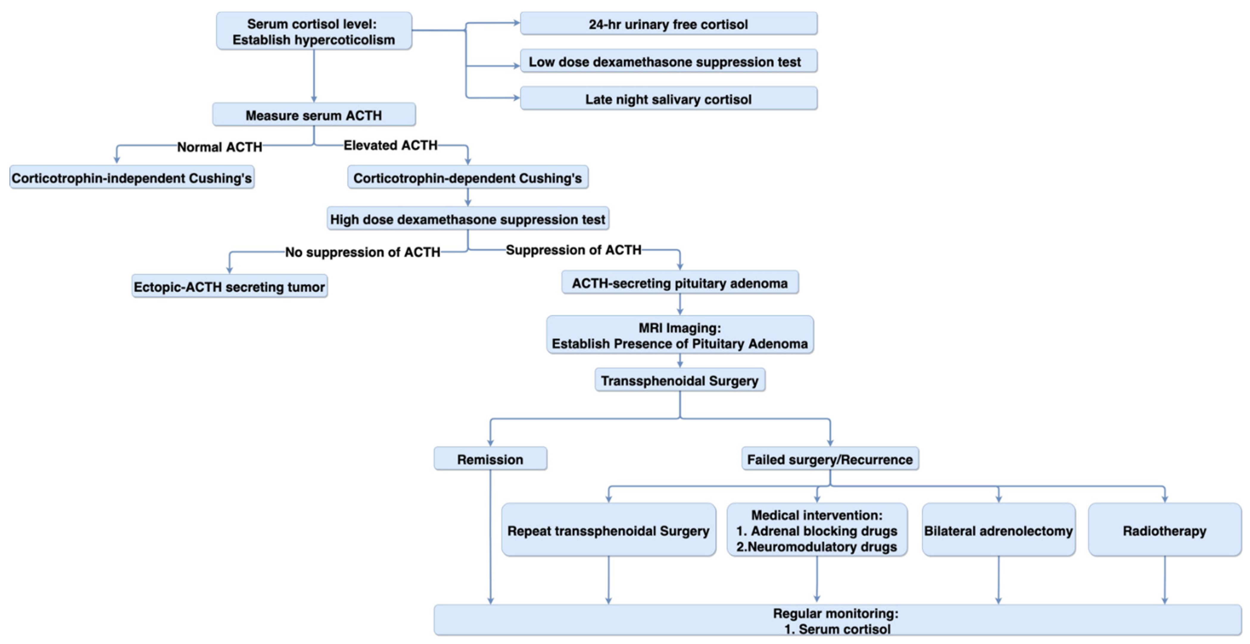 Biomedicines 09 00494 g003