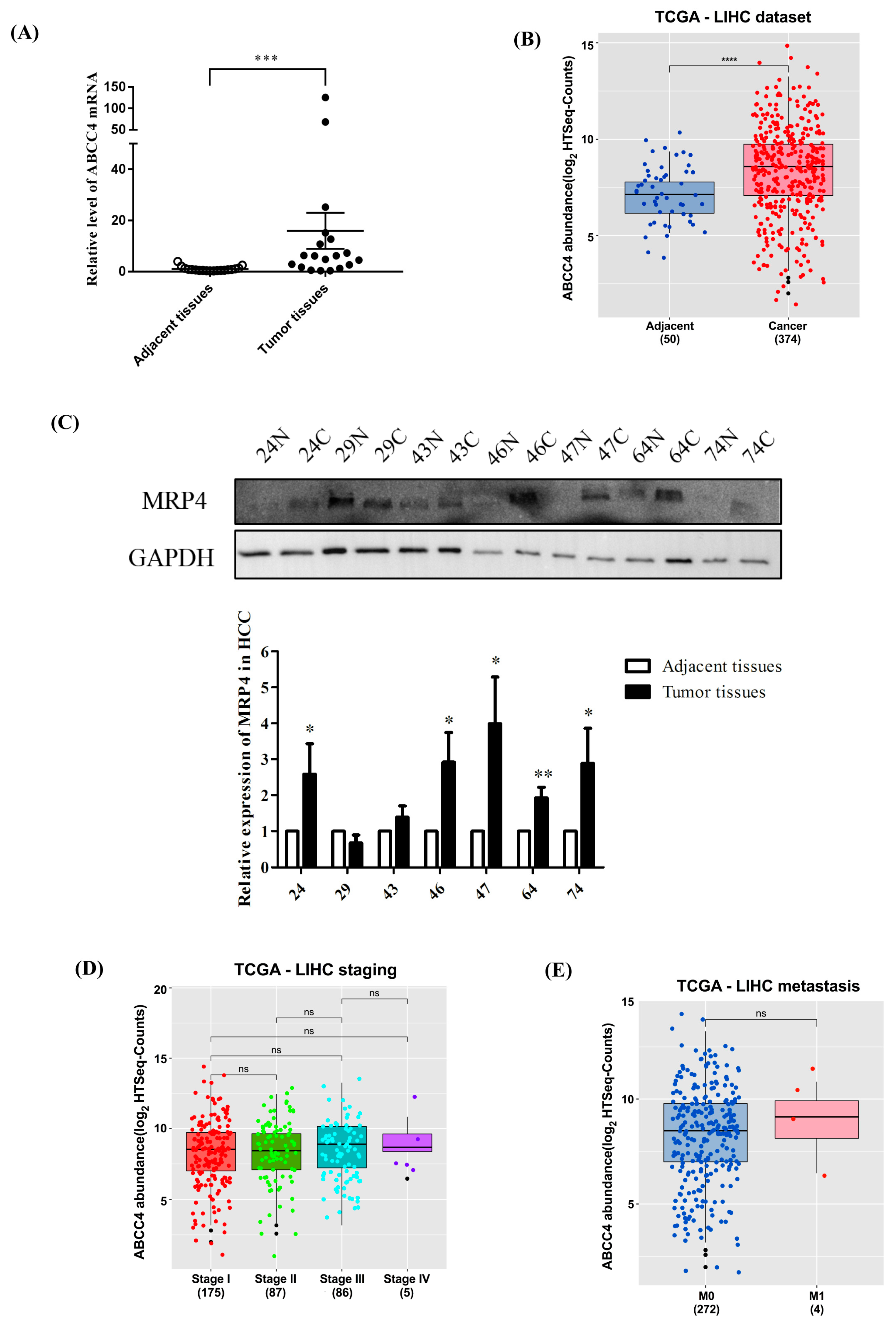 Biomedicines 09 00497 g001 Biomedicines 09 00497 g001