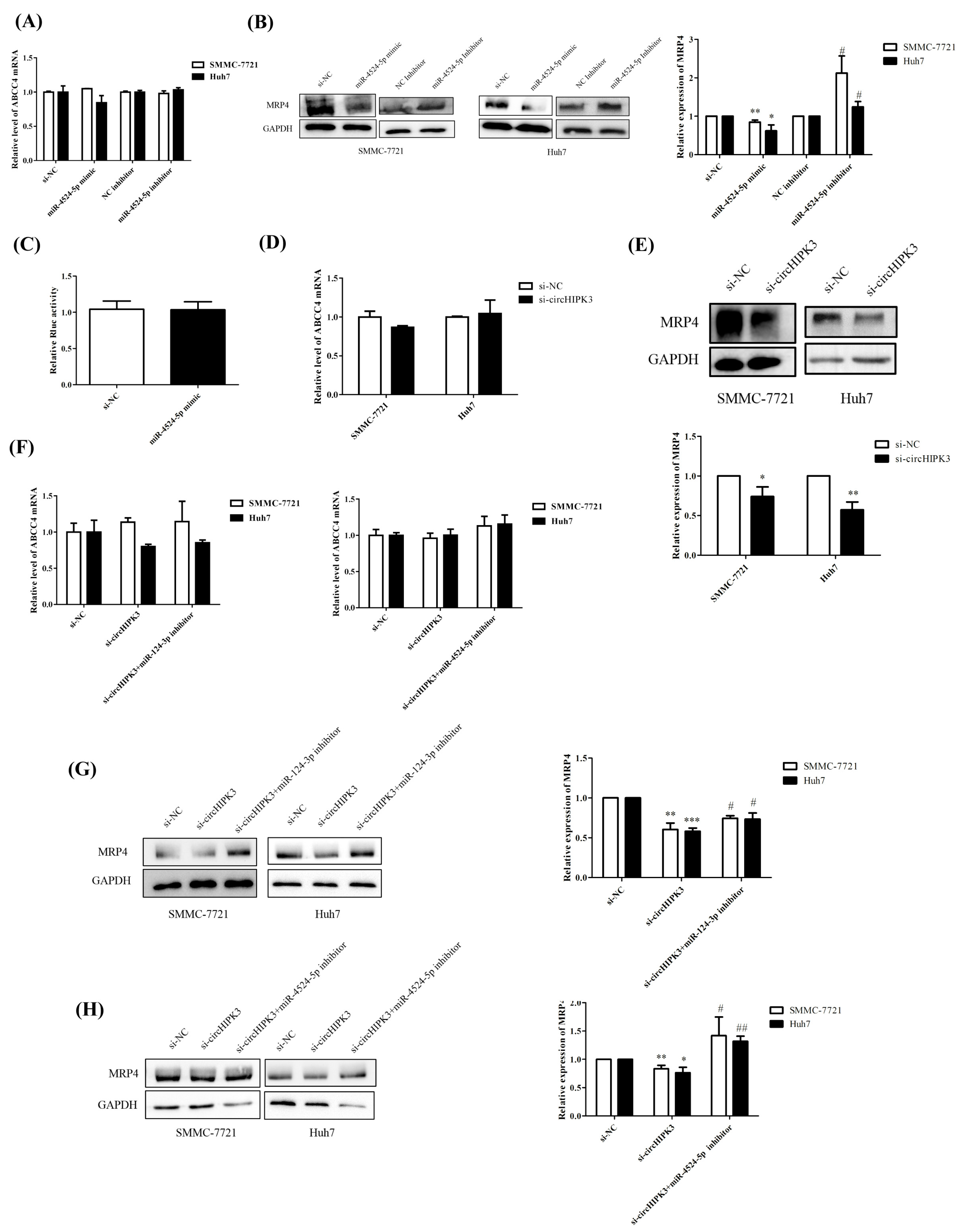 Biomedicines 09 00497 g004 Biomedicines 09 00497 g004