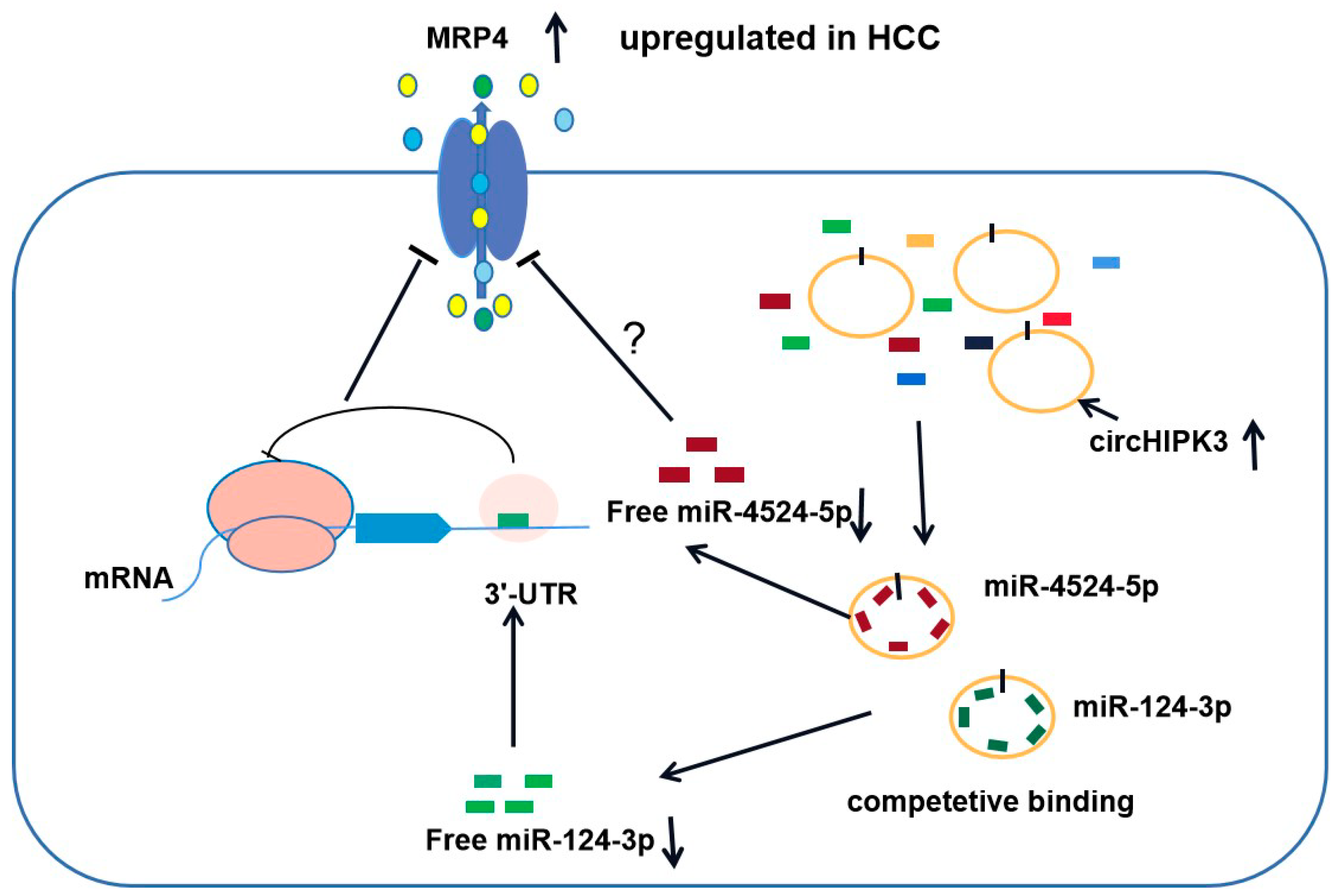Biomedicines 09 00497 g005 Biomedicines 09 00497 g005