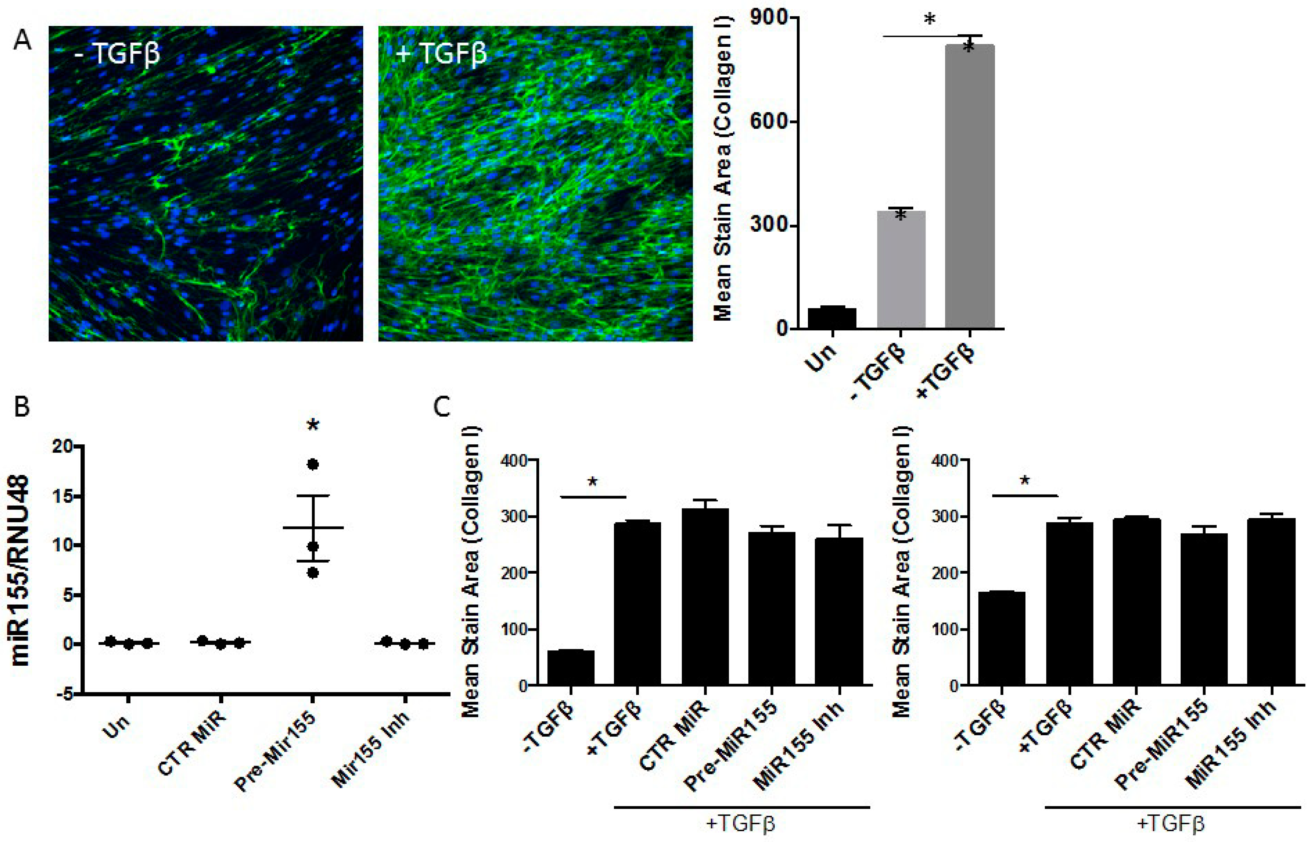 Biomedicines 09 00498 g004 Biomedicines 09 00498 g004