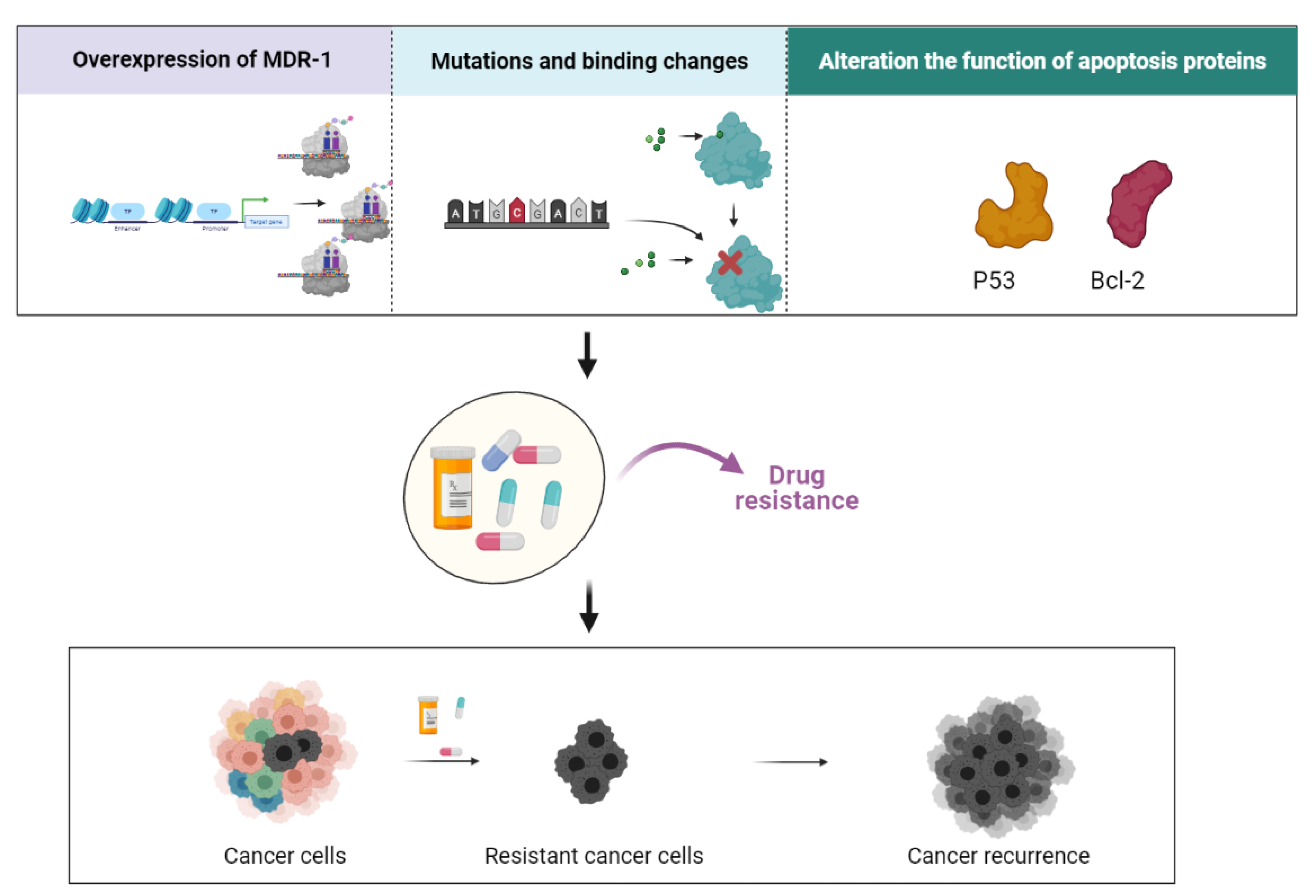 Biomedicines Free Full Text Paclitaxel Based Chemotherapy Targeting Cancer Stem Cells From Mono To Combination Therapy Html