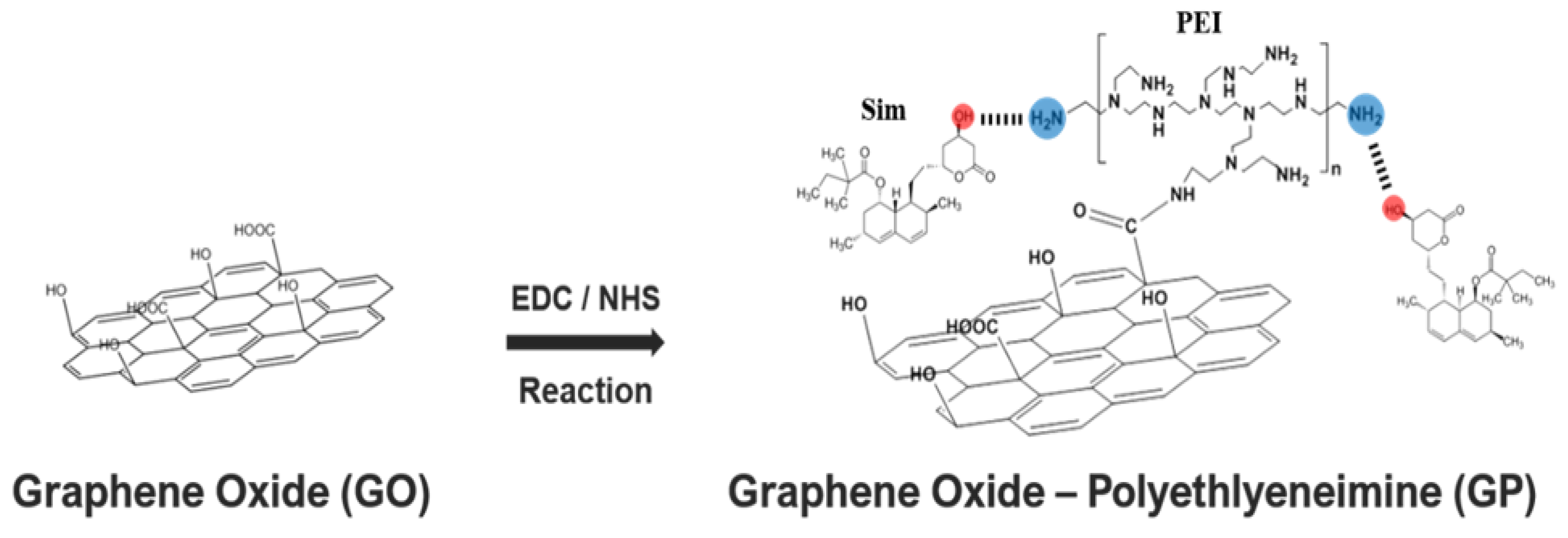 Biomedicines 09 00501 g001