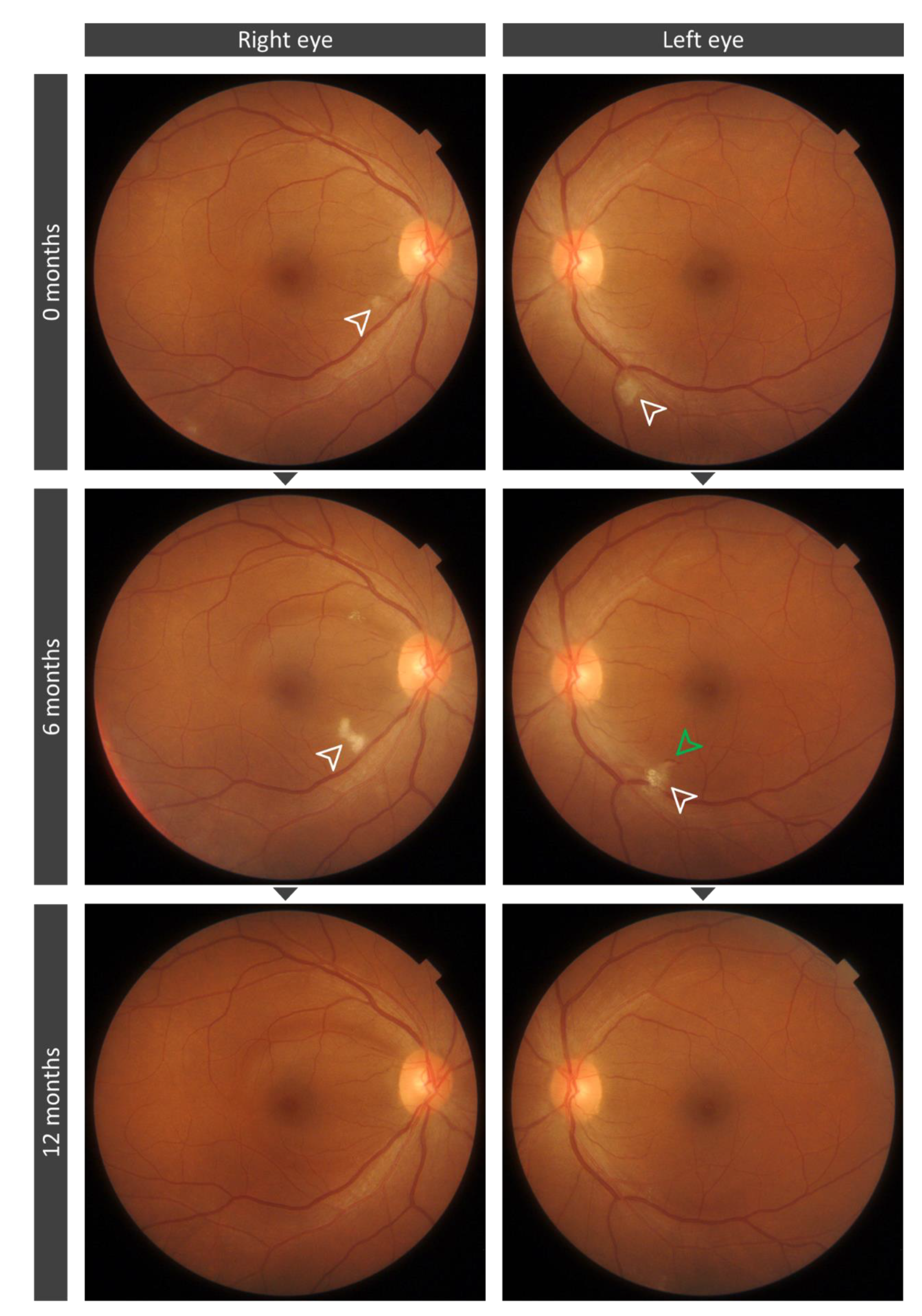Biomedicines 09 00502 g003