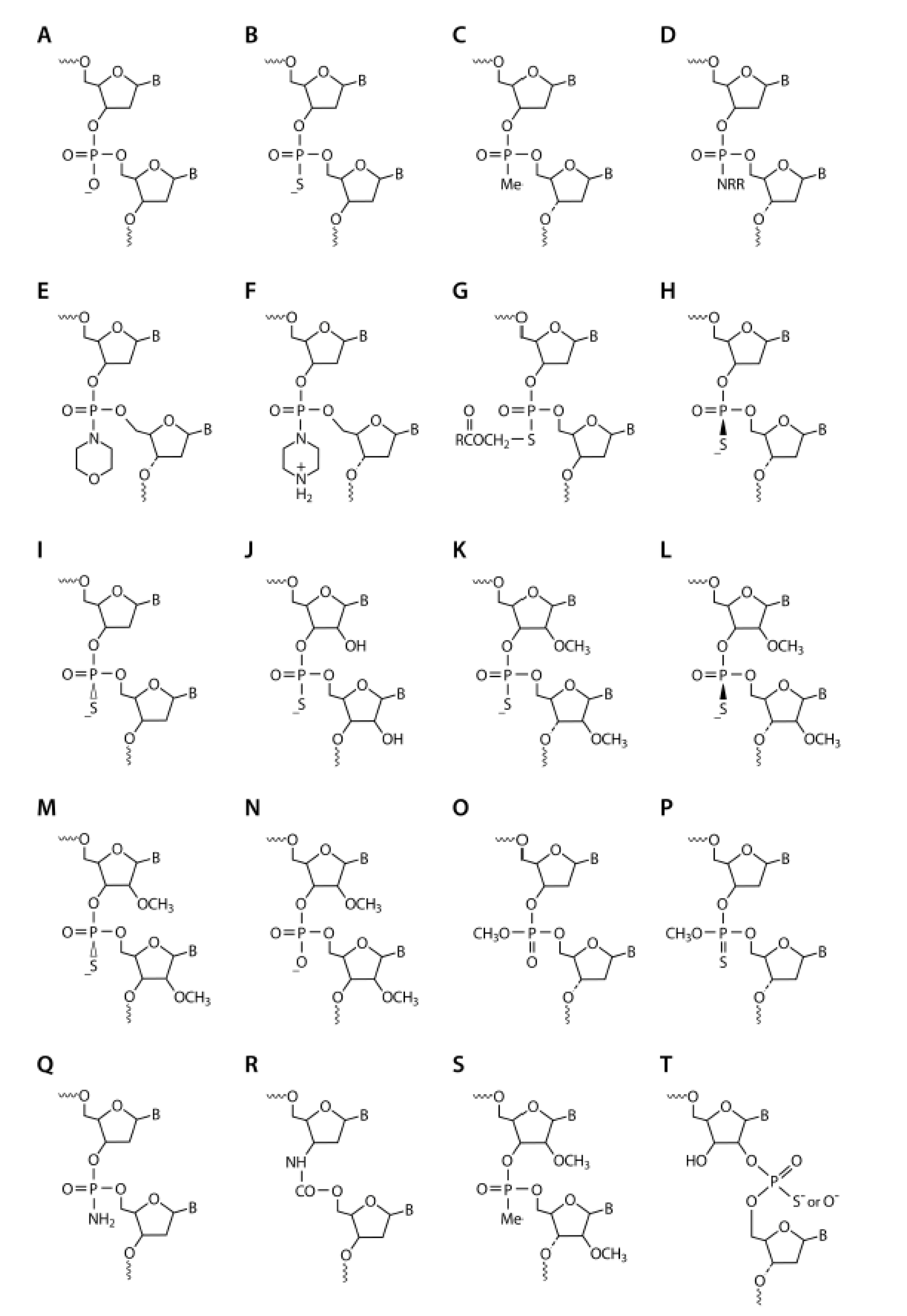 Biomedicines 09 00503 g001 Biomedicines 09 00503 g001