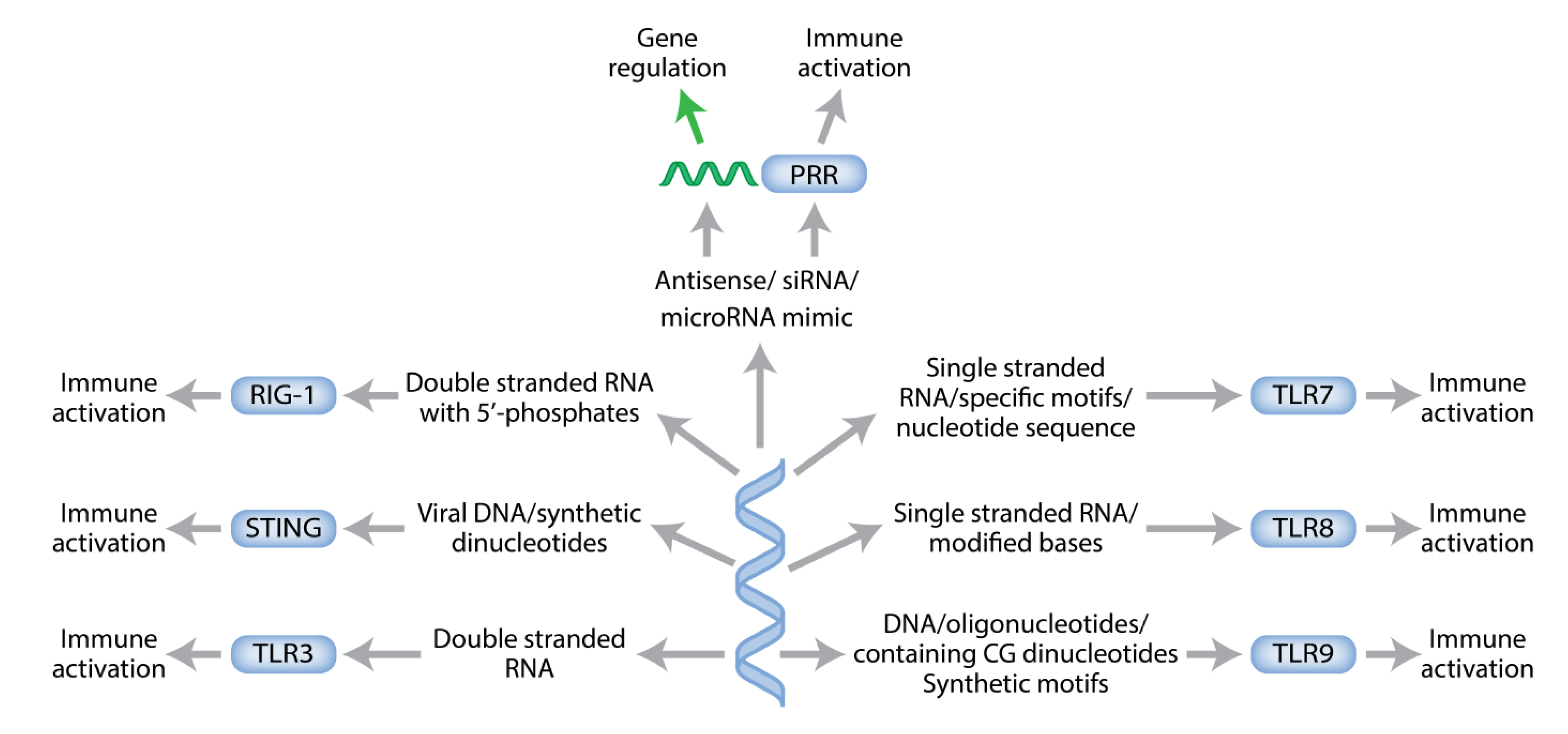 Biomedicines 09 00503 g003 Biomedicines 09 00503 g003